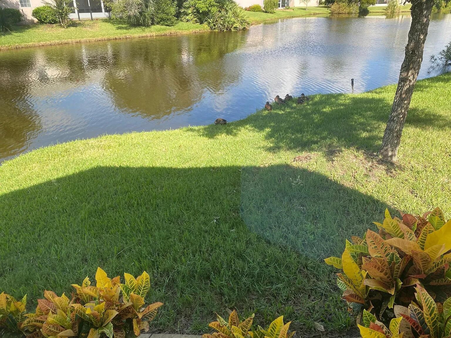 Image 6 of 19 For 521 Peninsula Ct,