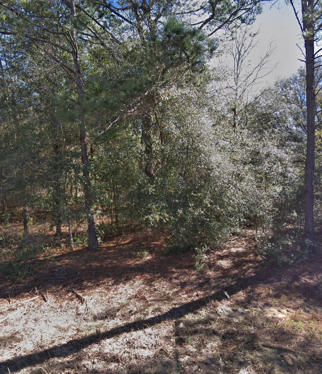 Image 6 of 6 For 00 Maltas Ave Lot 7