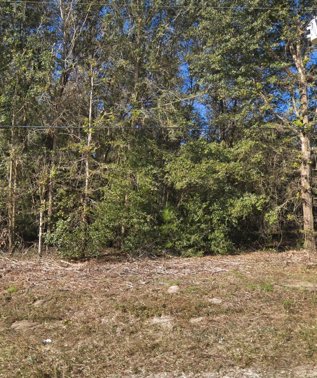 Image 5 of 6 For 00 Maltas Ave Lot 35