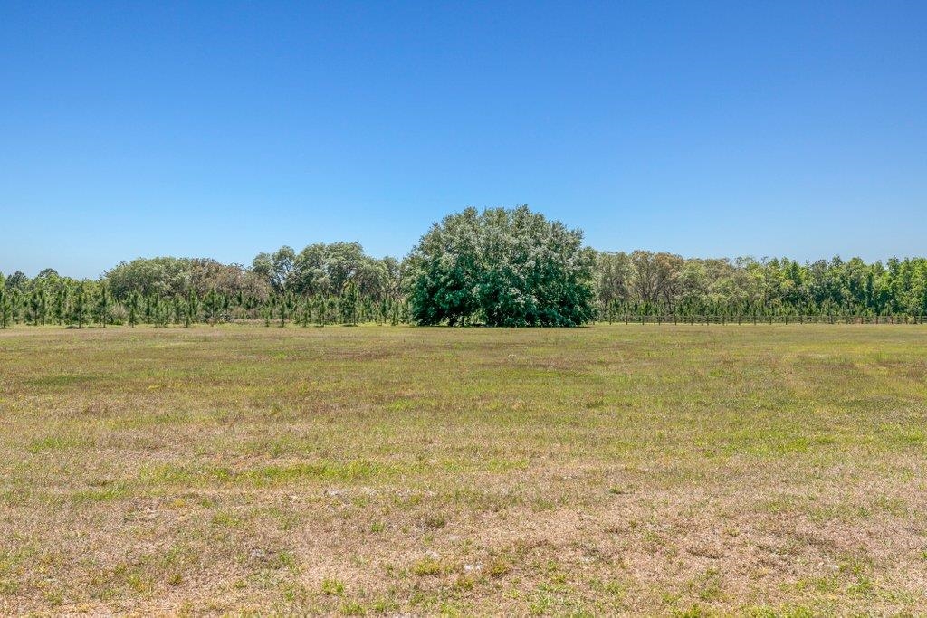 Image 6 of 48 For 641 State Rd 100 E Unit B