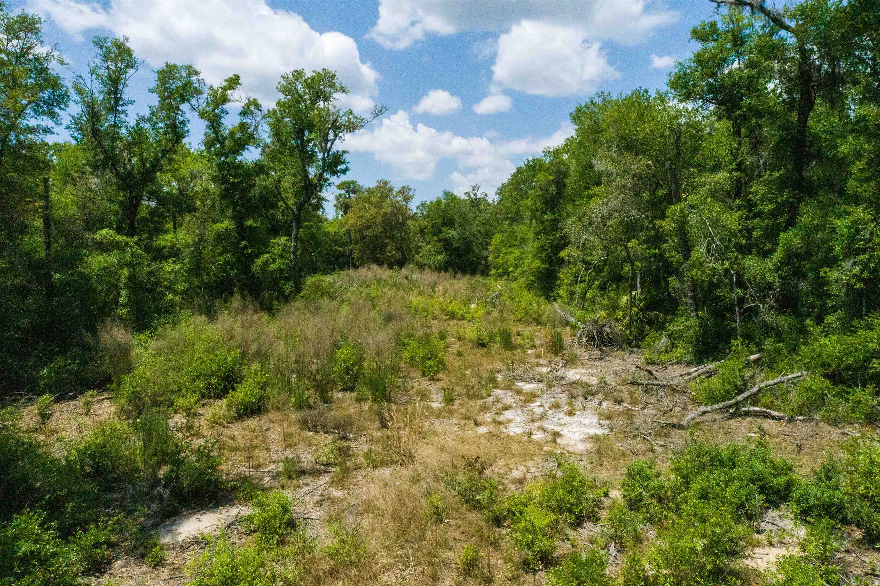 Image 8 of 21 For 130 Lake Elin