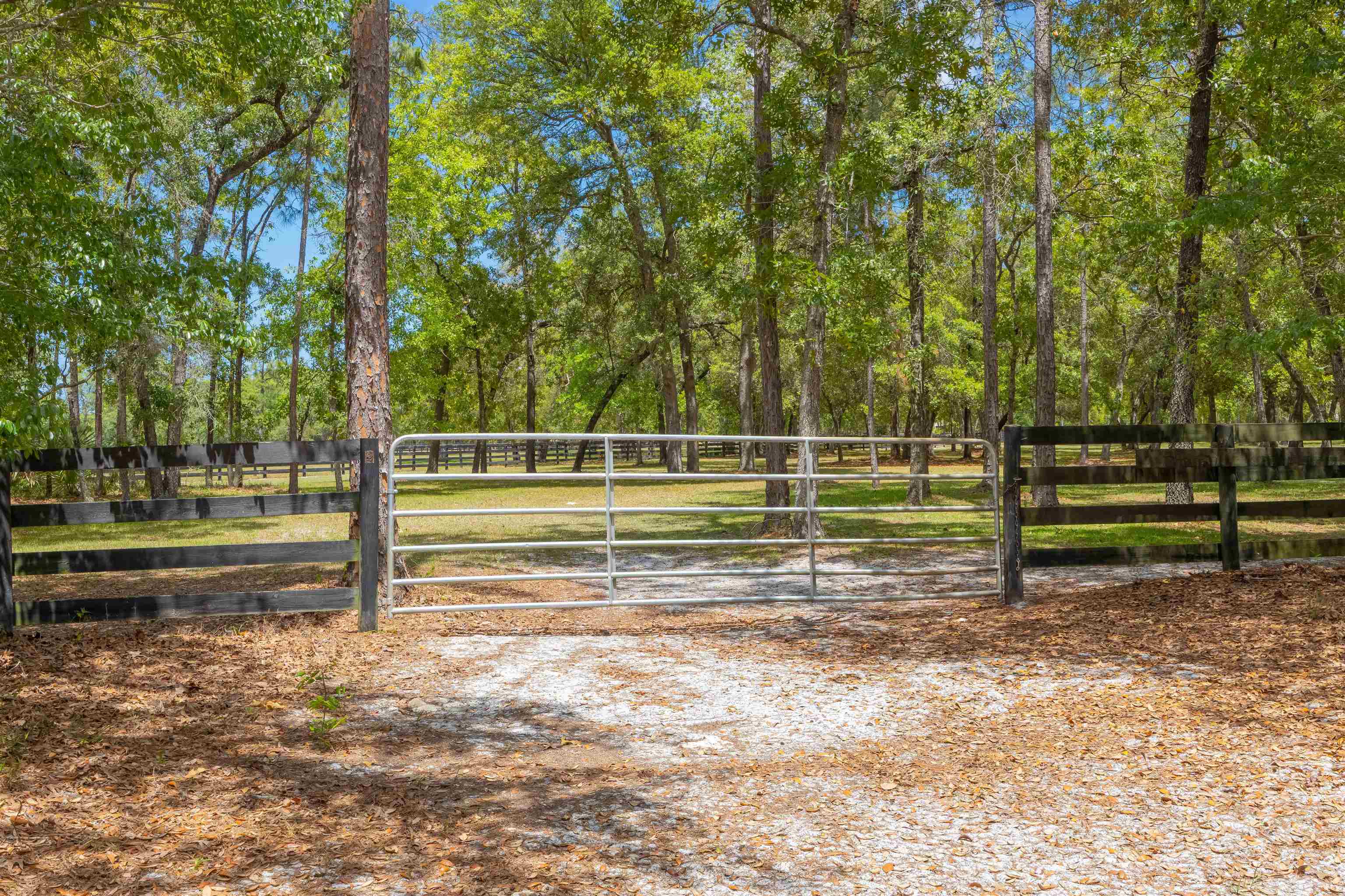 Image 15 of 36 For 335 Diamond Trl