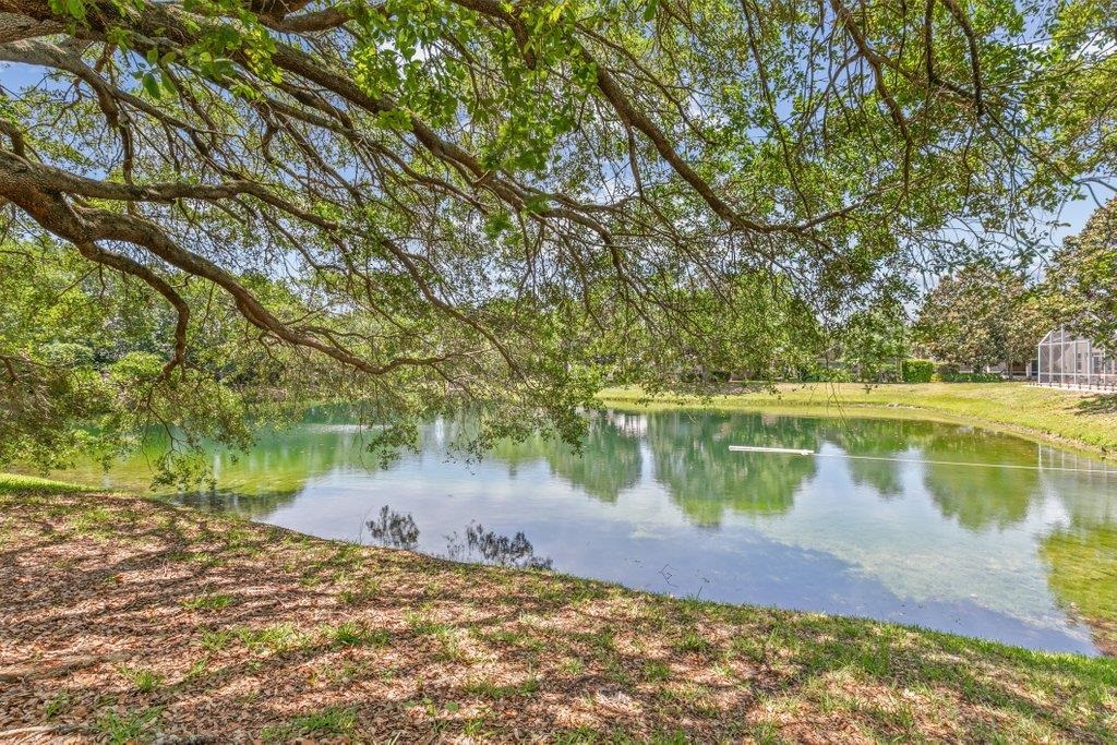 Image 50 of 77 For 123 Lions Gate Dr