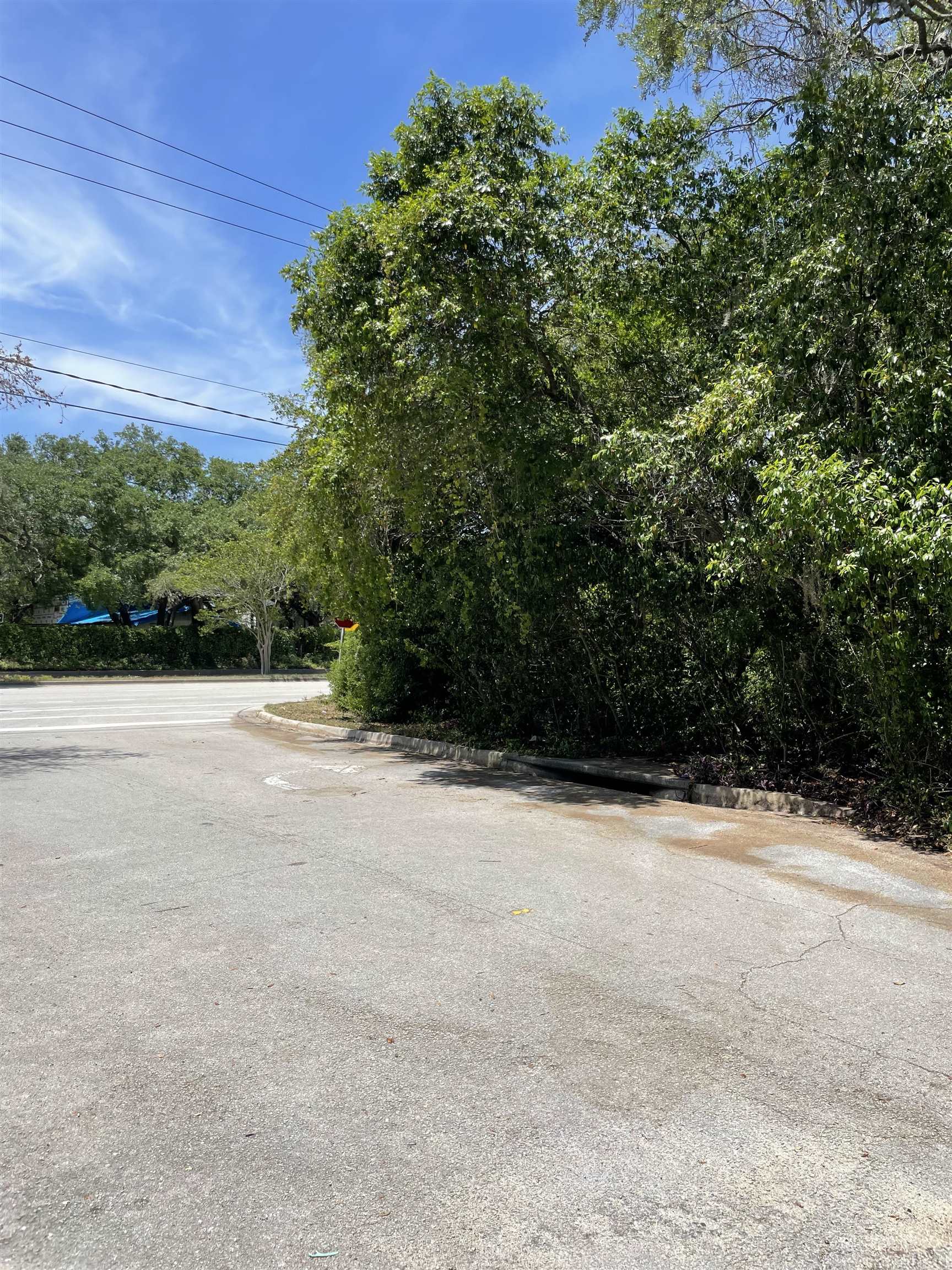Image 6 of 11 For 2424 & 0 A1a South
