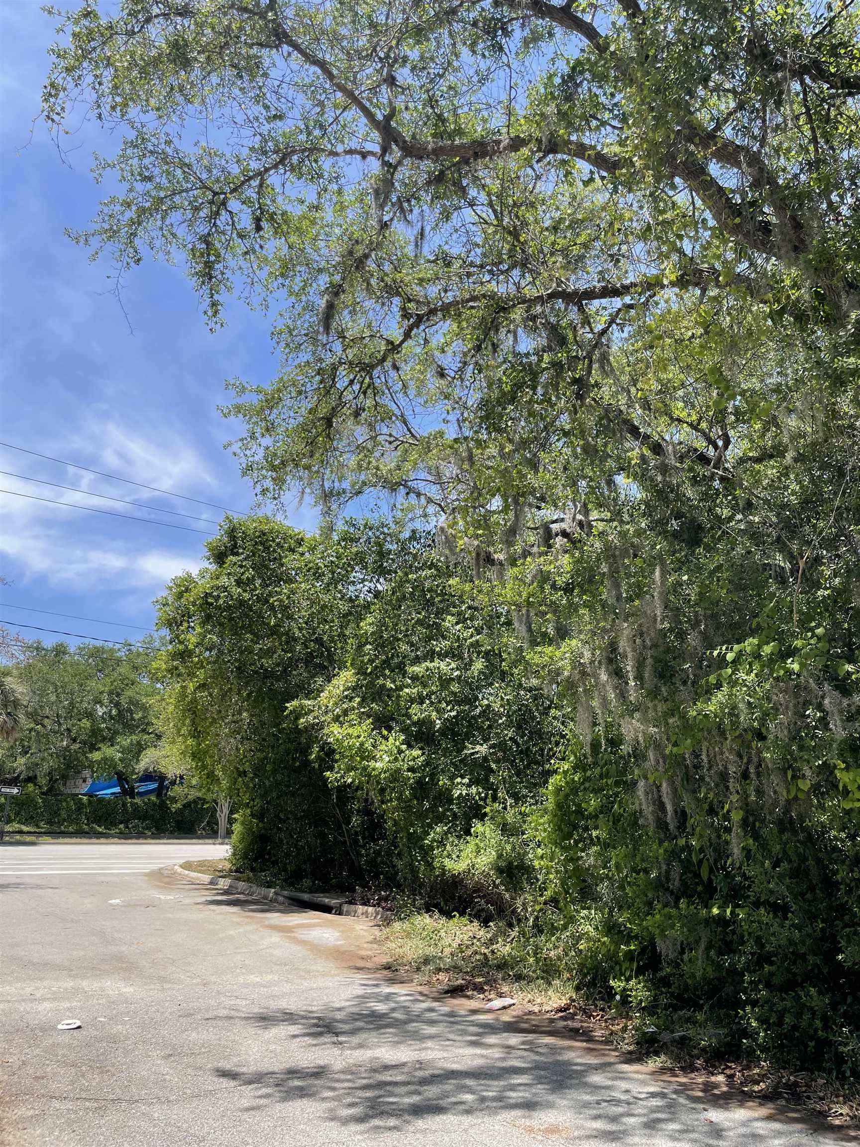 Image 7 of 11 For 2424 & 0 A1a South