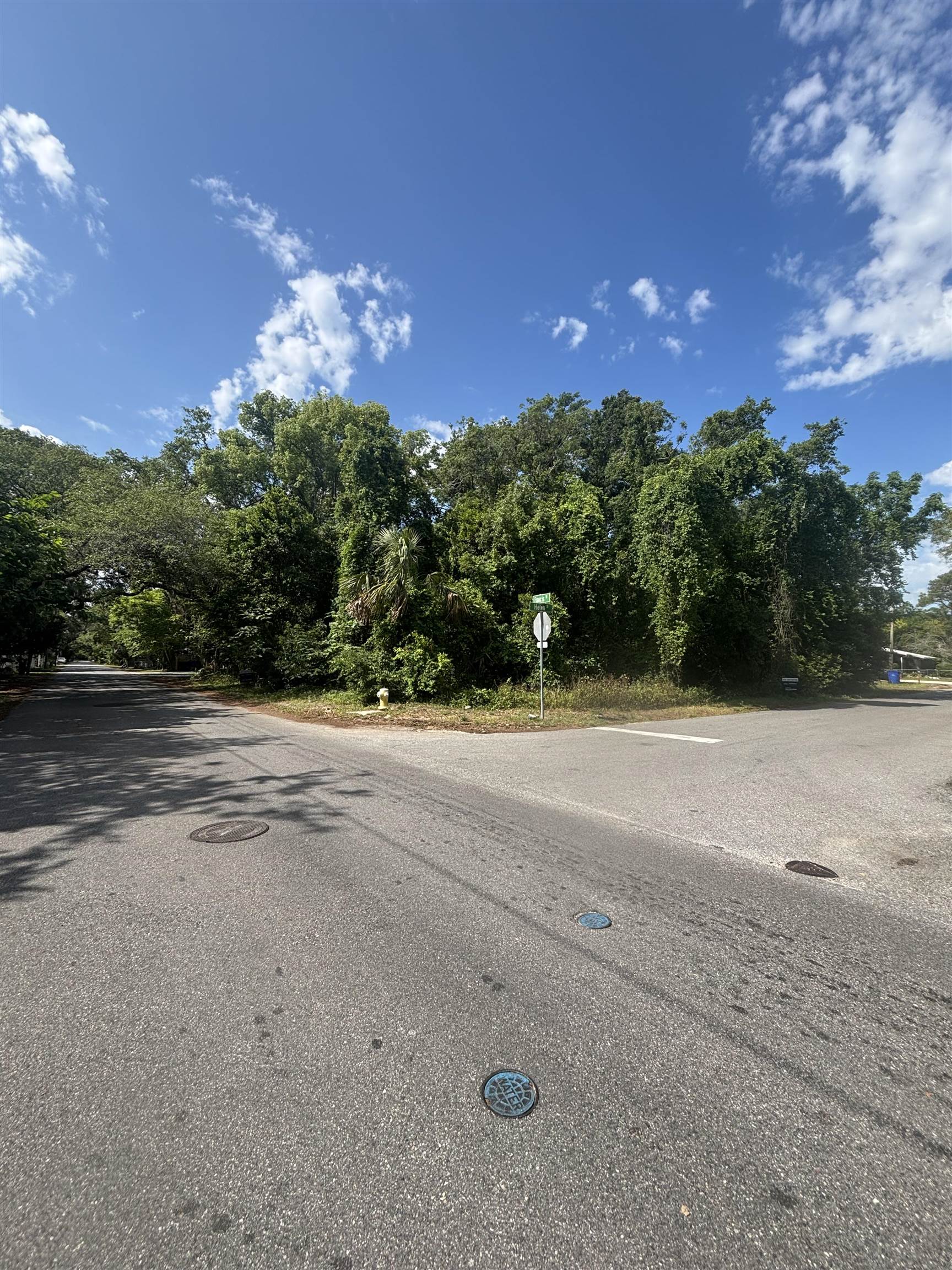 Image 2 of 2 For 0 Francis St (2 Lots)