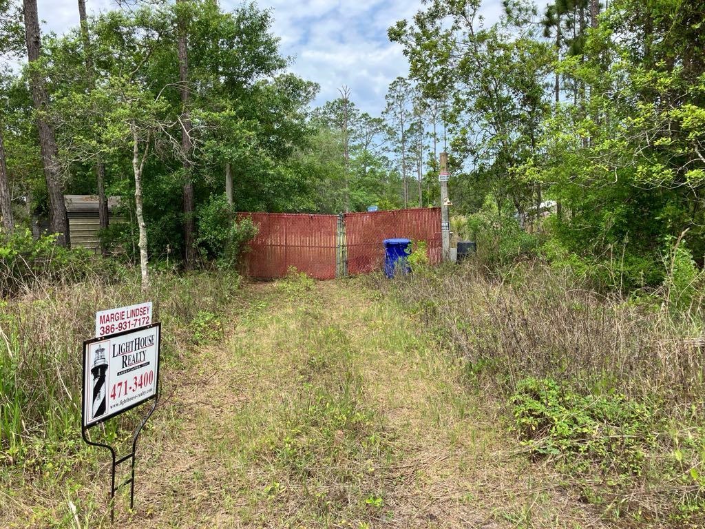 Details for 10775 Amos Avenue, Hastings, FL 32145