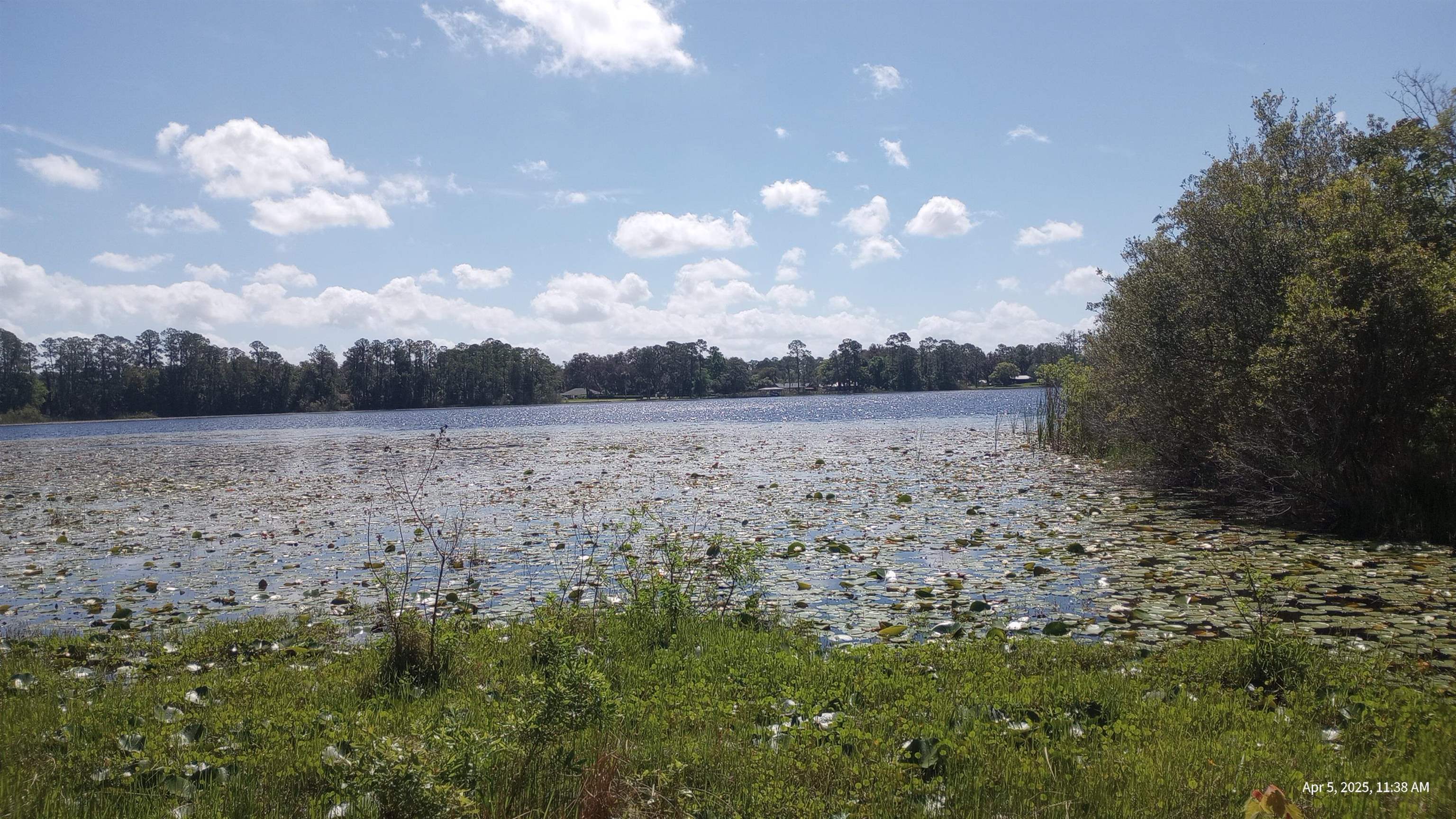 Details for 126 Echo Ln  , Palatka, FL 32177