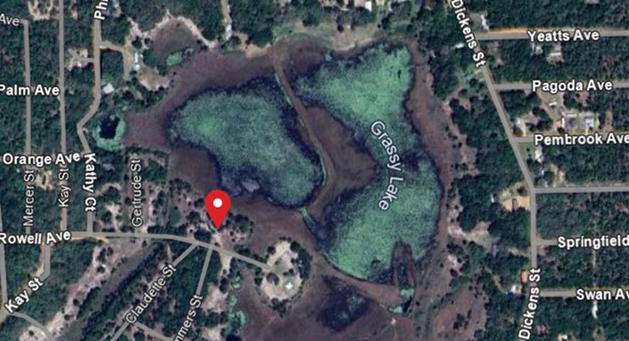 Details for 506 Rowell Ave, Interlachen, FL 32148