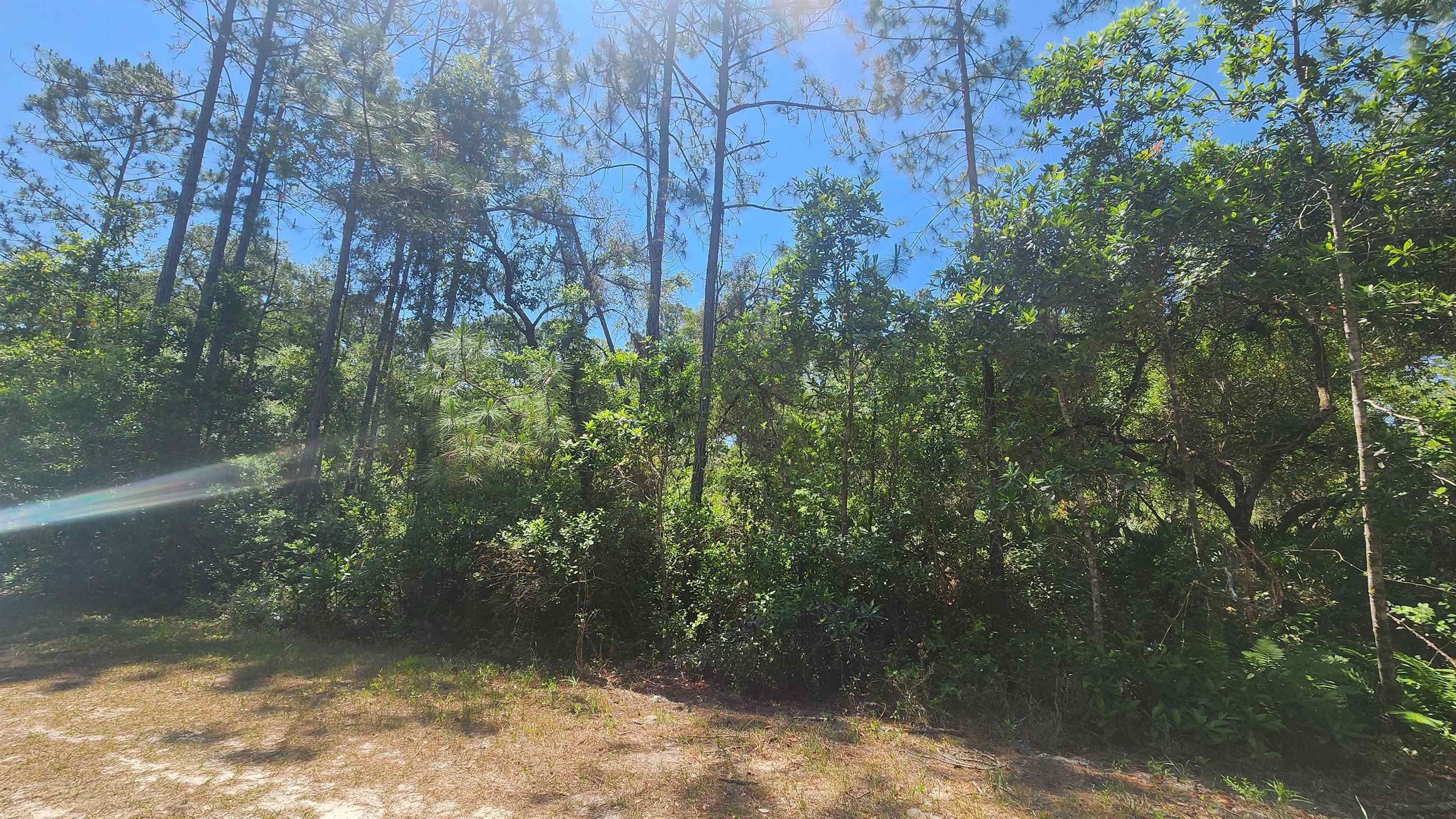 Image 2 of 8 For 329 Palm Way