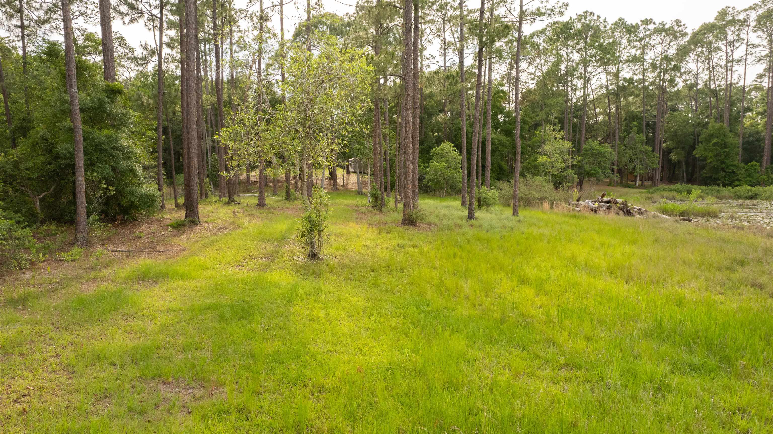Image 8 of 21 For 114 Peeples Rd