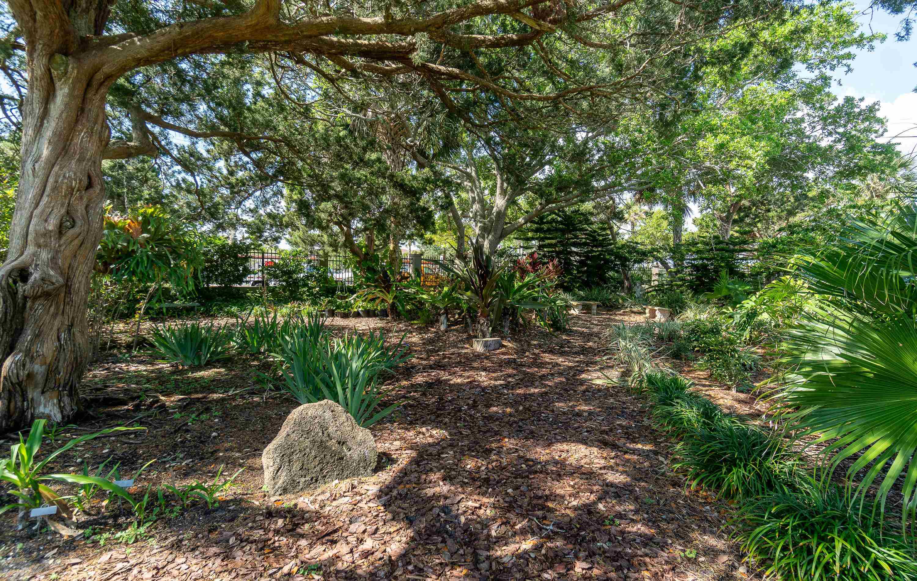 Image 4 of 43 For 12 Flagler Blvd Unit B201  B201