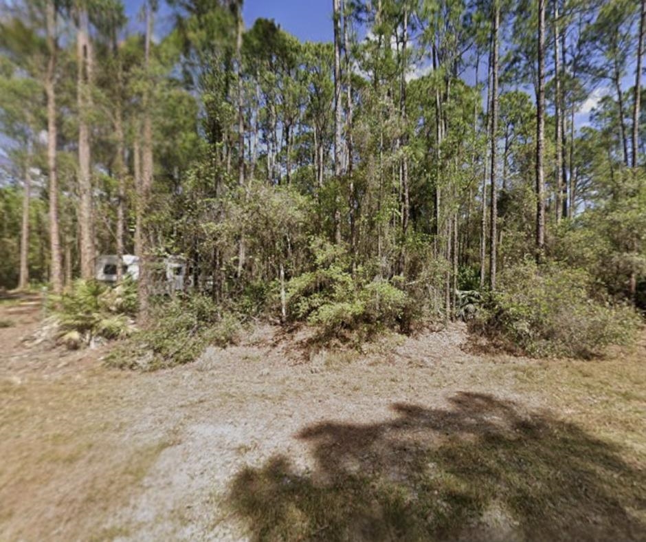Details for 104 Helen Ave, Georgetown, FL 32139
