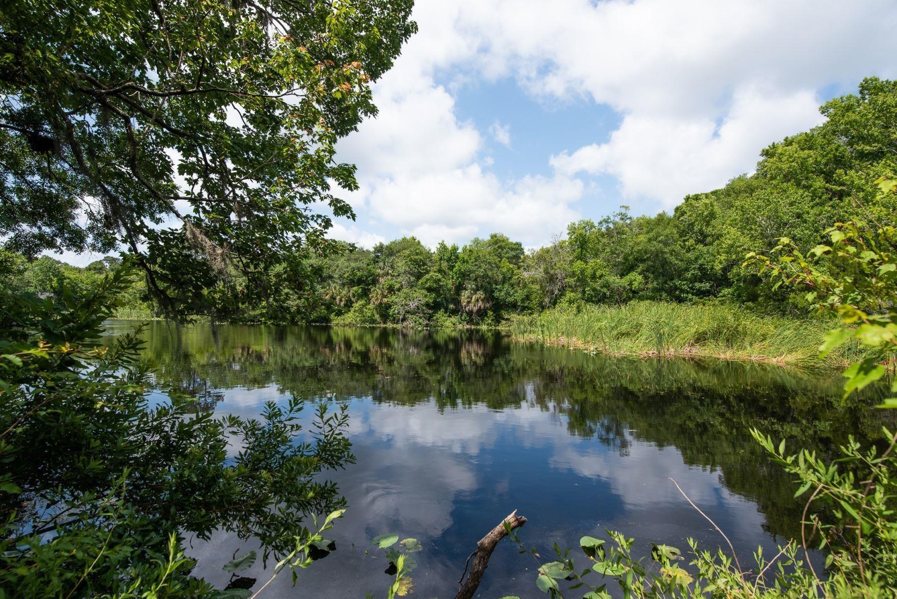 Image 40 of 52 For 271 Roaring Brook Dr