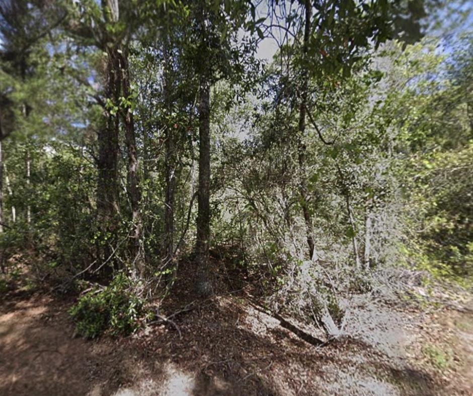 Details for 116 Terri Ave, Georgetown, FL 32139