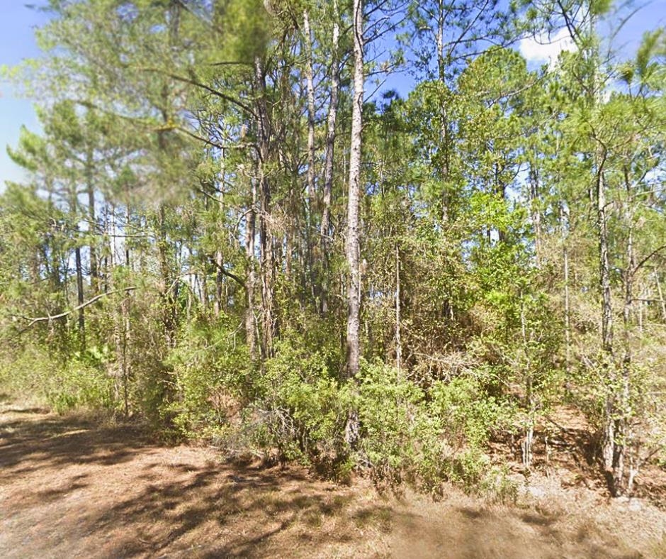 Details for 306 Carteret Rd, Georgetown, FL 32139