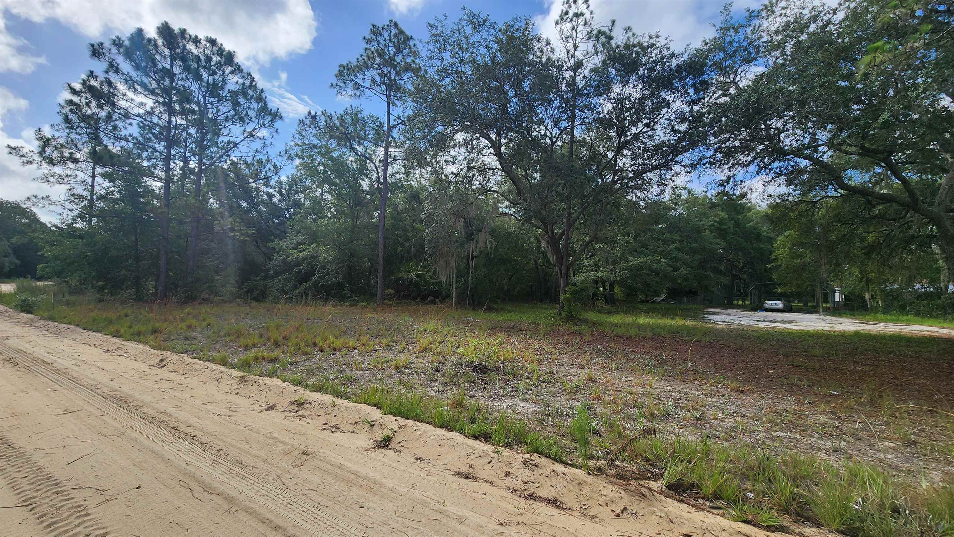 Details for 00 Britt  , Interlachen, FL 32148