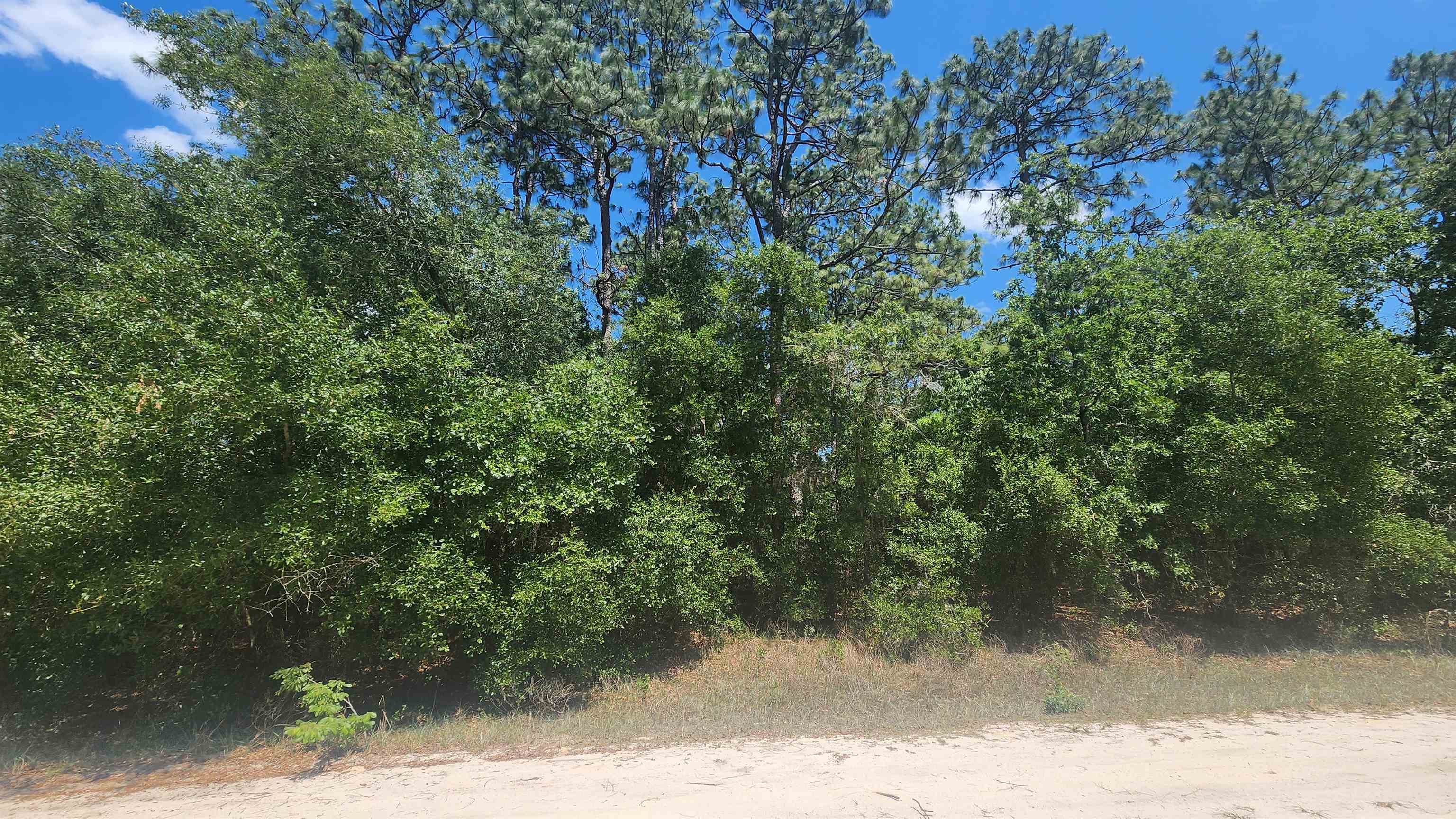 Details for 218 Summit Rd, Satsuma, FL 32189