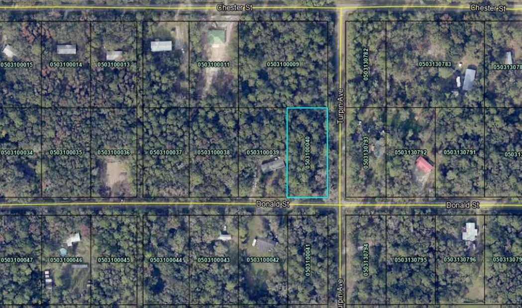 Listing Details for 9715 Turpin Ave, Hastings, FL 32145