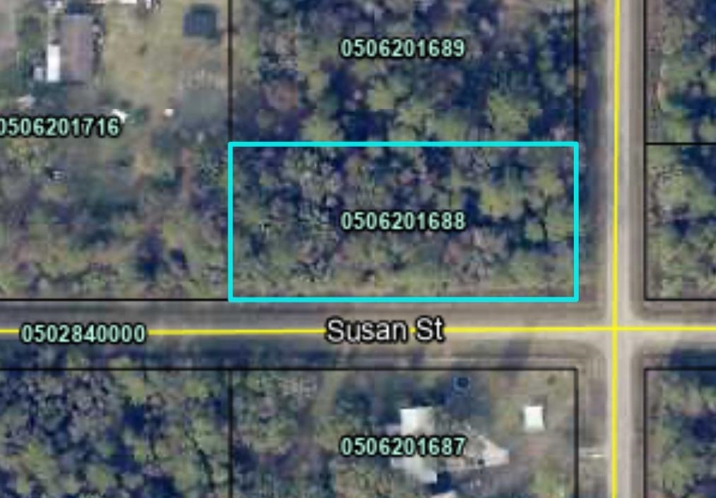 Listing Details for 10715 Nikolich Ave, Hastings, FL 32145