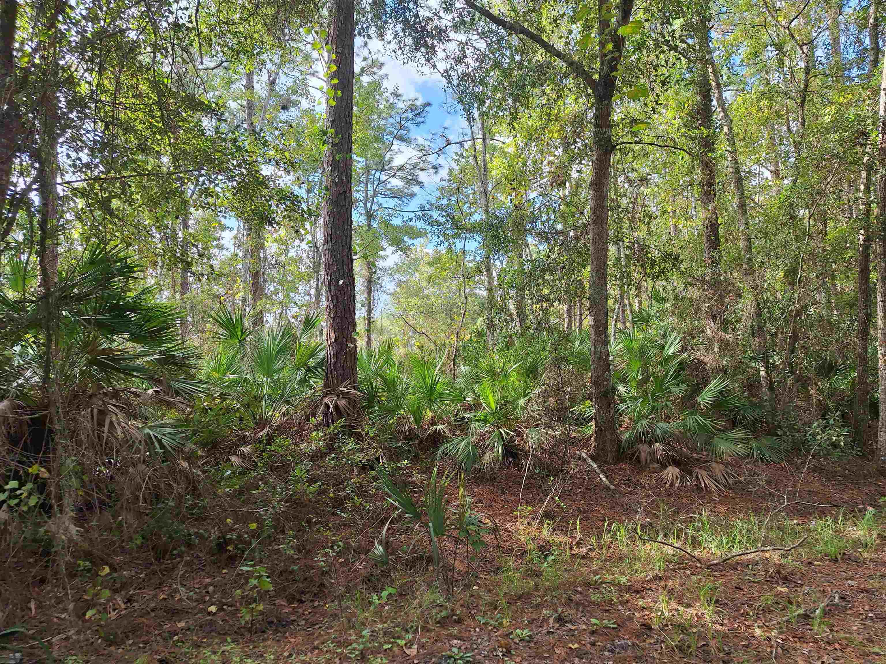 Details for 201 Pineway West Ave, Satsuma, FL 32189