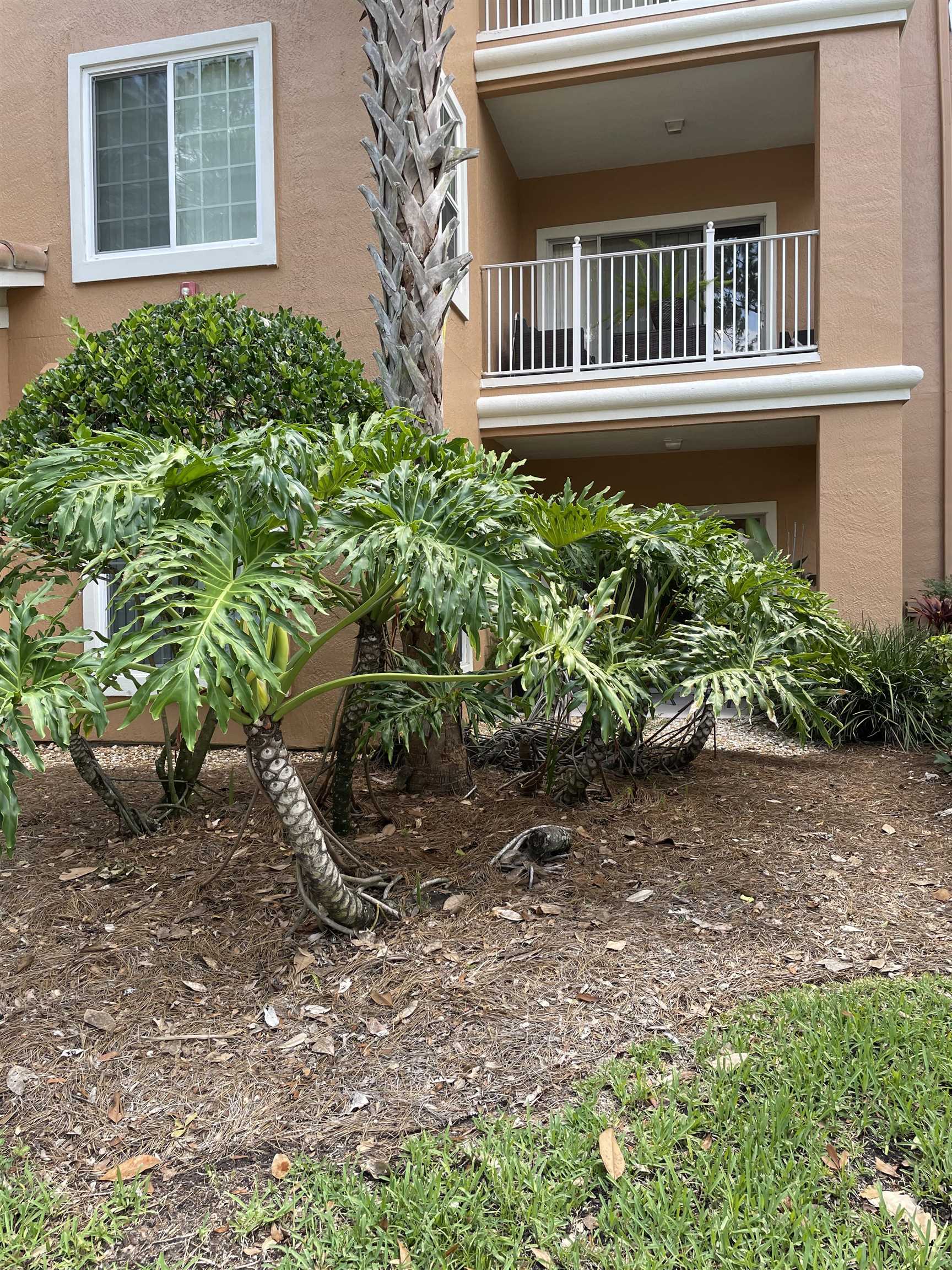 Image 22 of 26 For 520 Florida Club Blvd  107