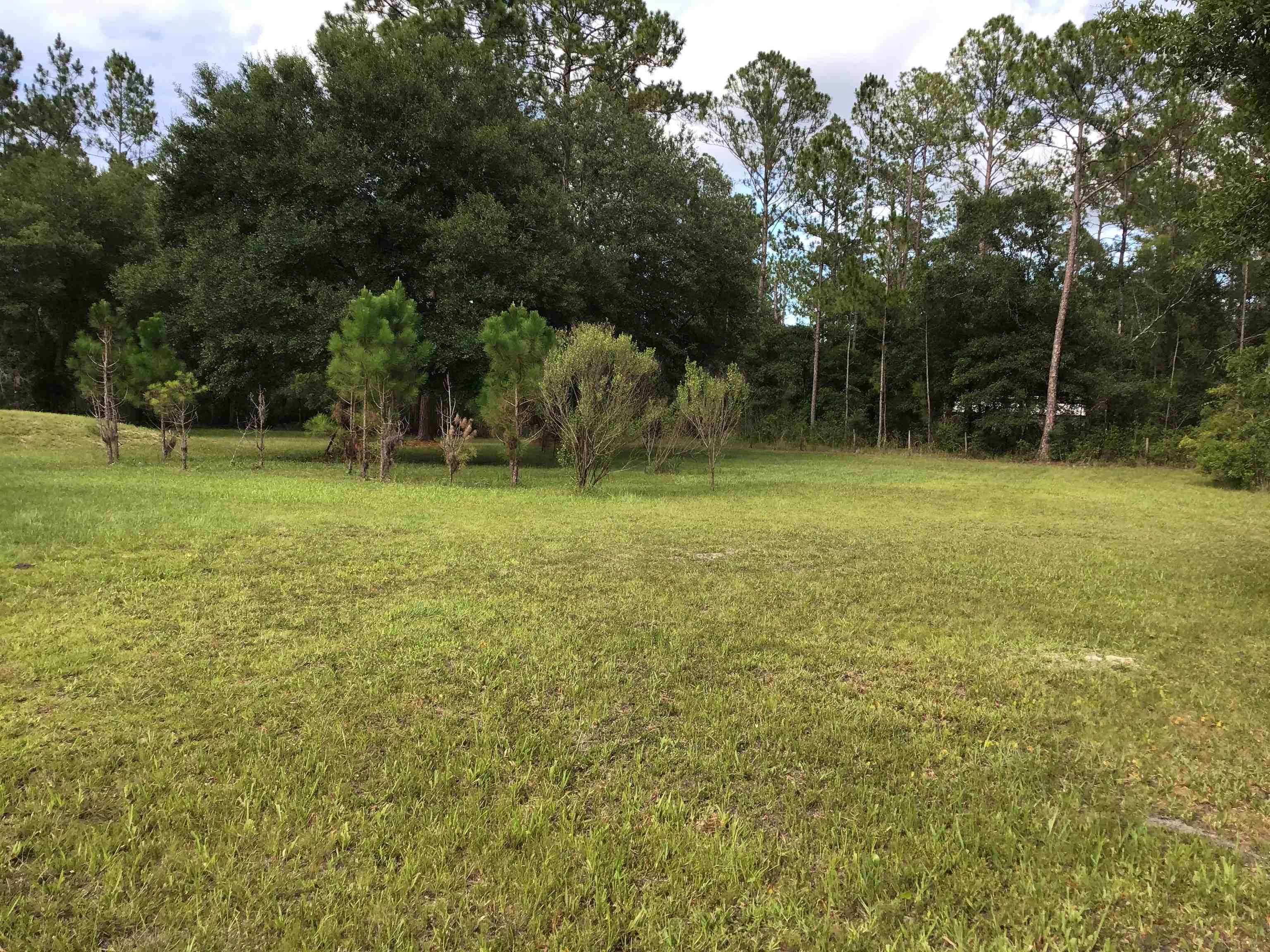 Image 4 of 18 For 10350 Beckenger Ave