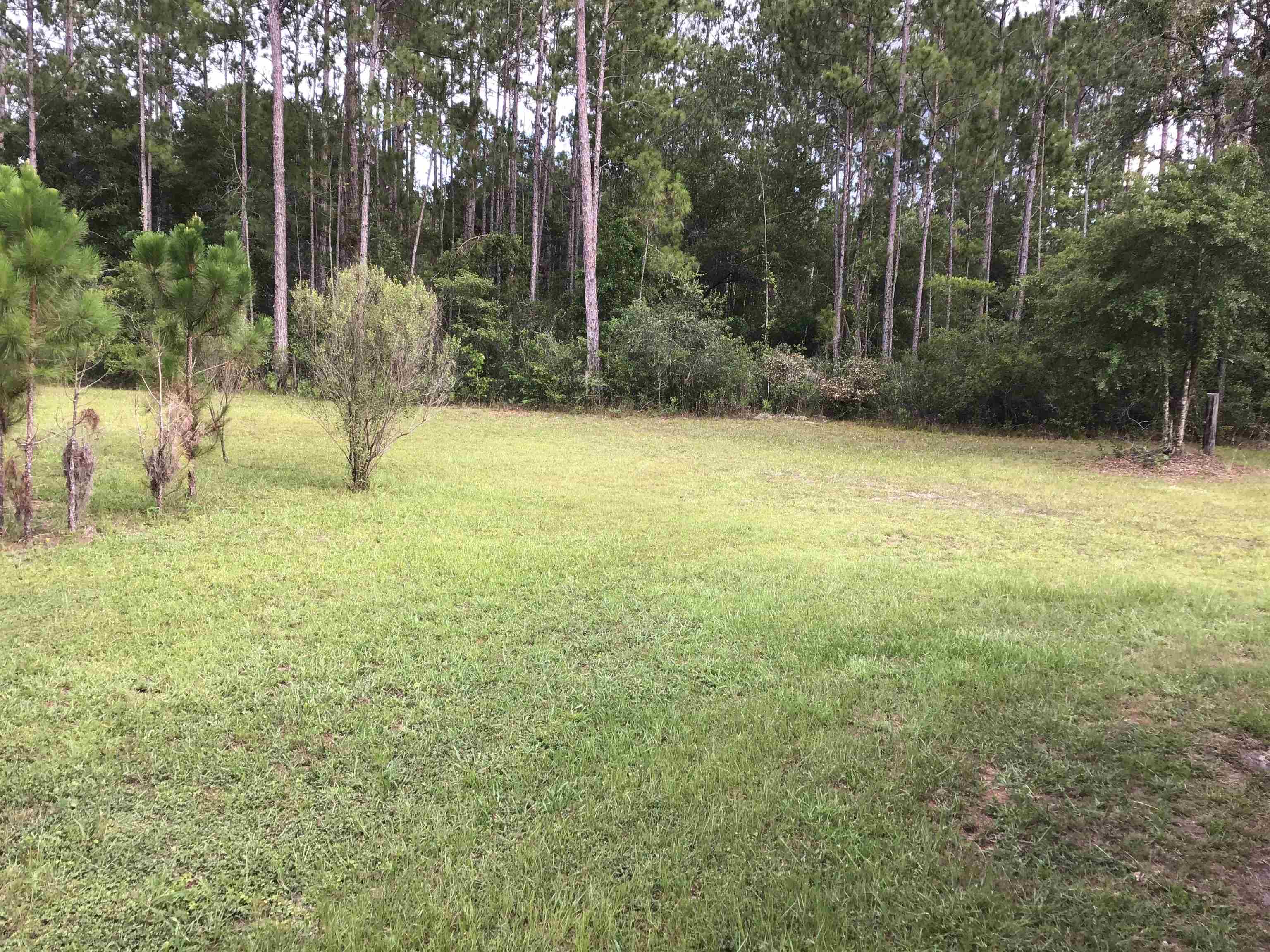 Image 5 of 18 For 10350 Beckenger Ave