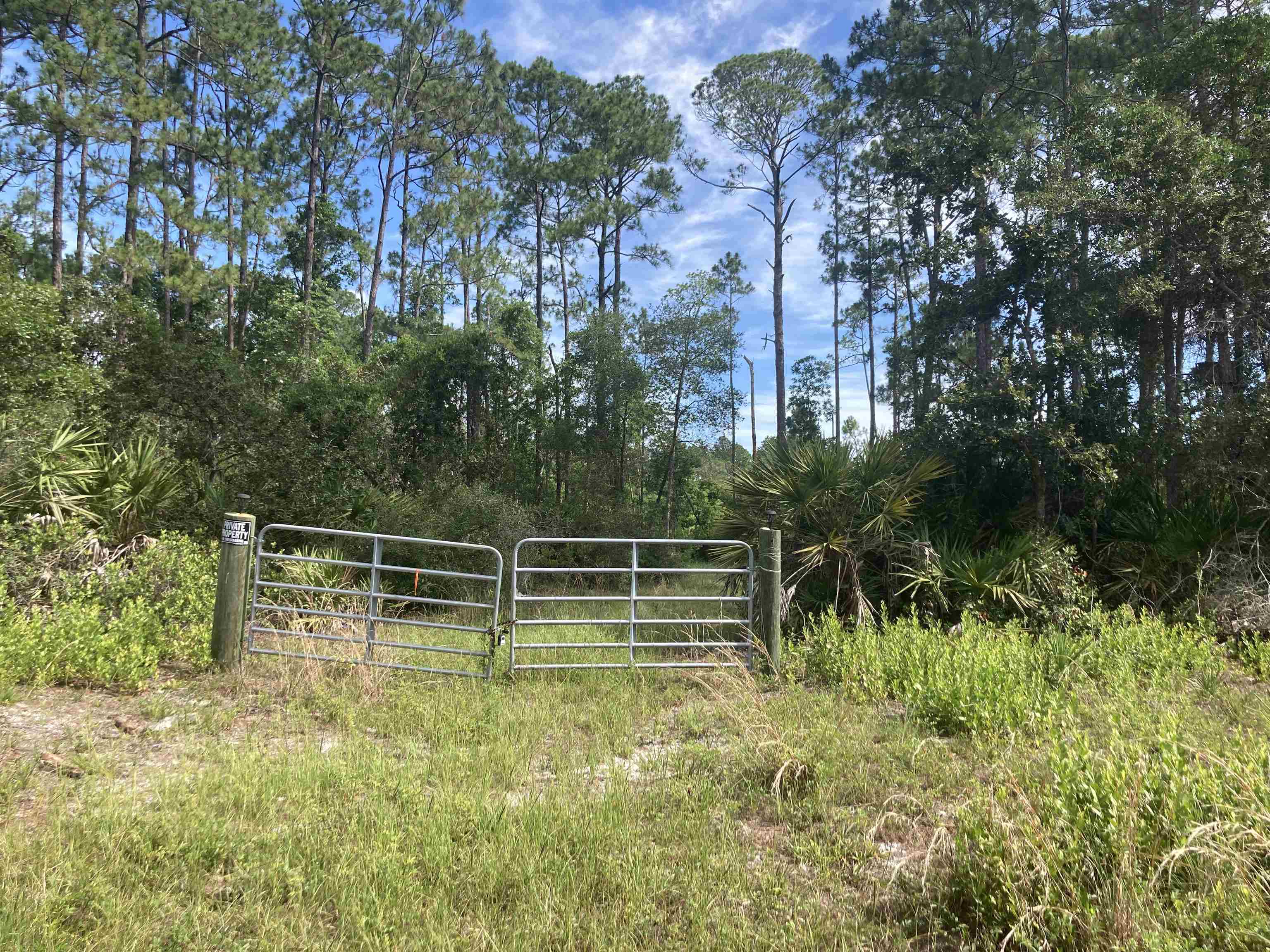 Details for 160 Edgemere Dr, Georgetown, FL 32139