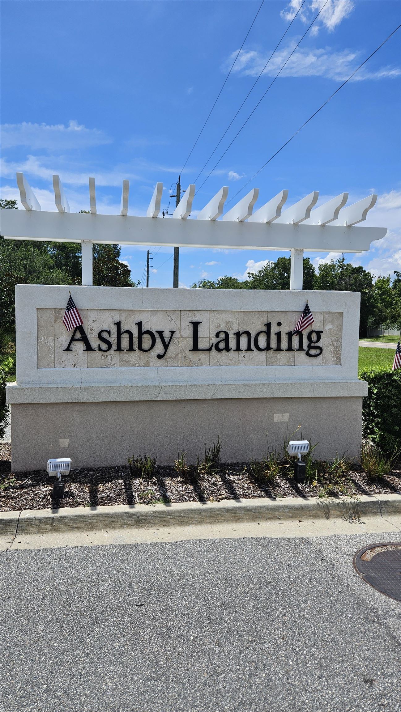 Image 2 of 50 For 348 Ashby Landing Way