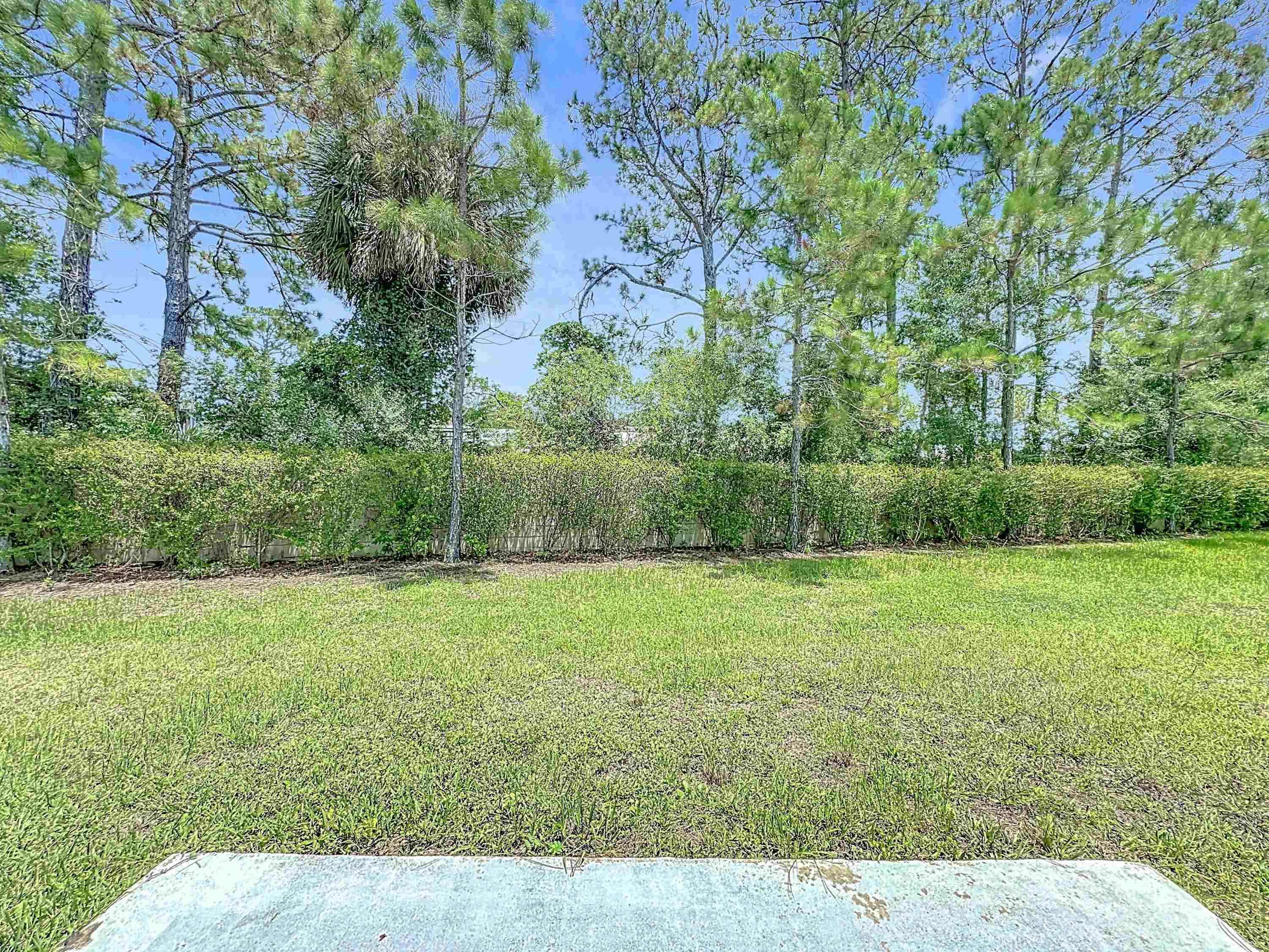 Image 41 of 50 For 348 Ashby Landing Way