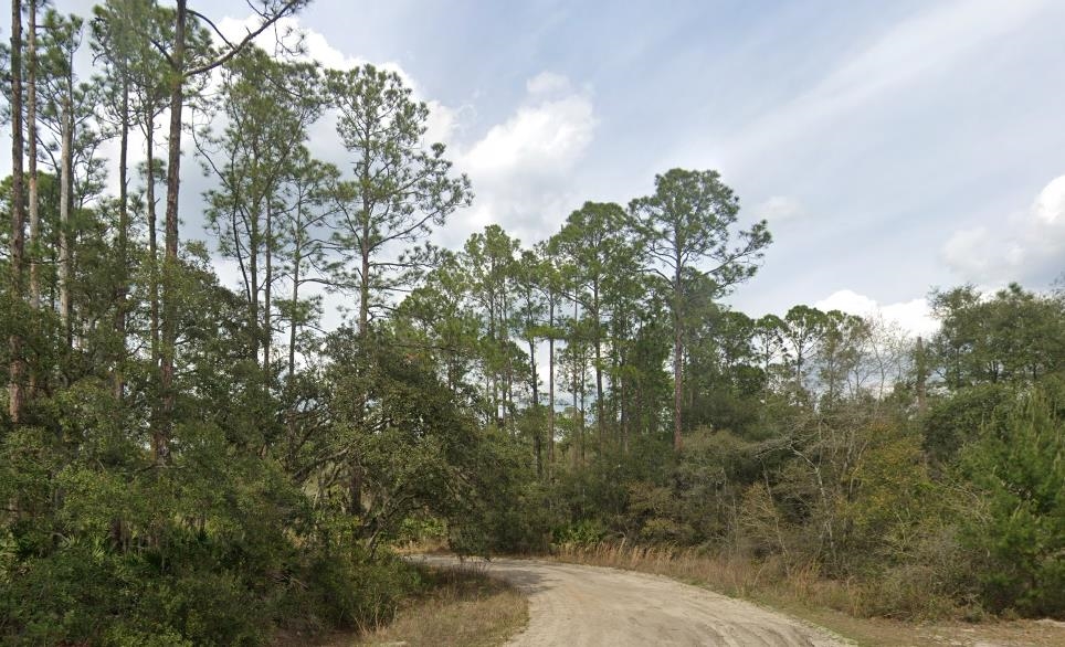 Image 5 of 6 For 00 Childs Rd 16