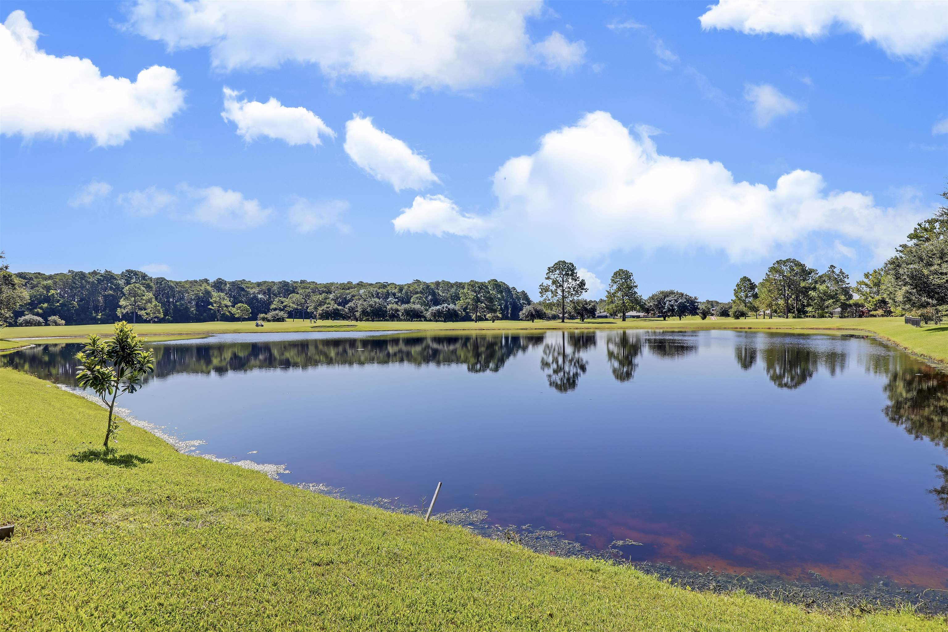 Image 40 of 50 For 4105 Palmetto Bay Dr