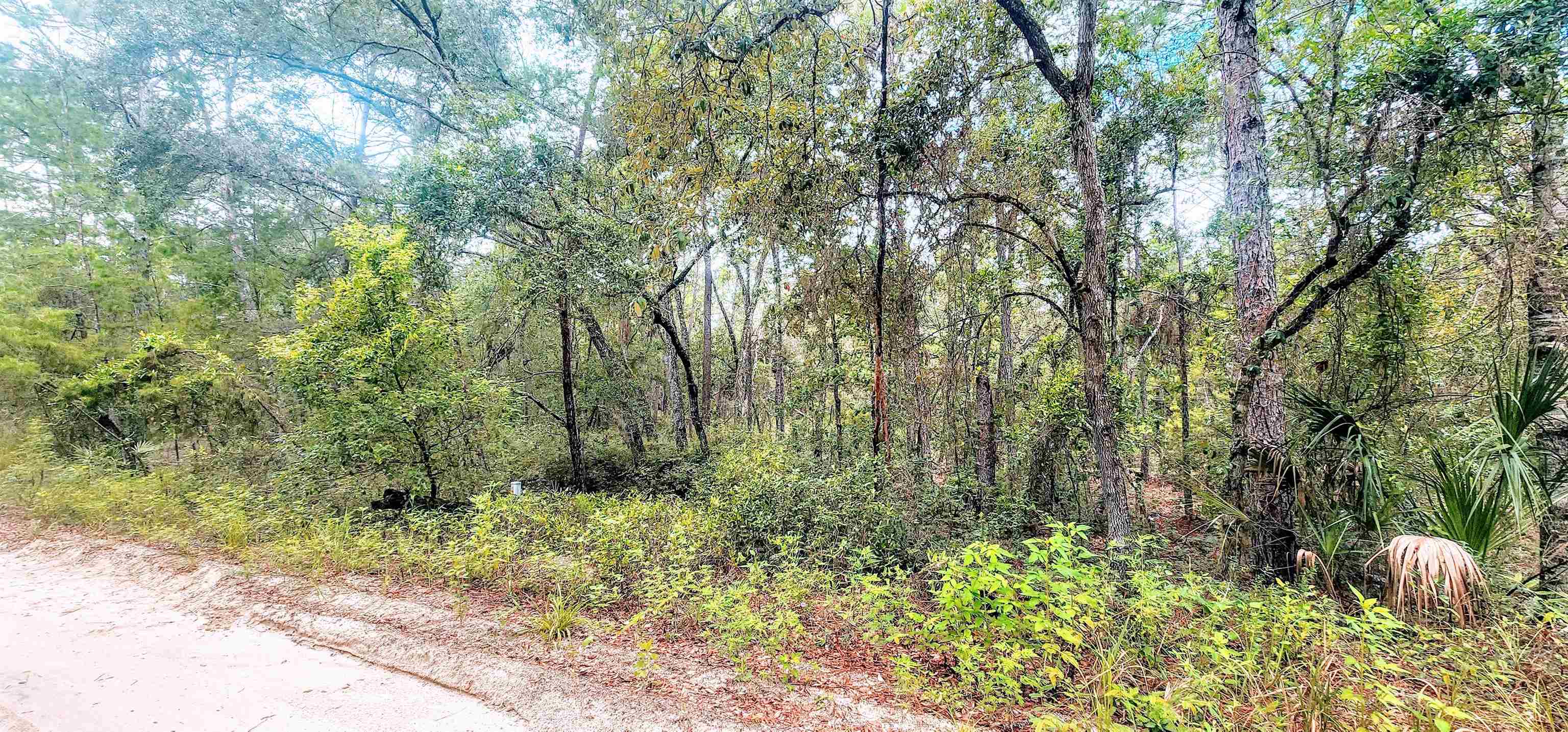 Details for Minnesota Ave, Satsuma, FL 32189