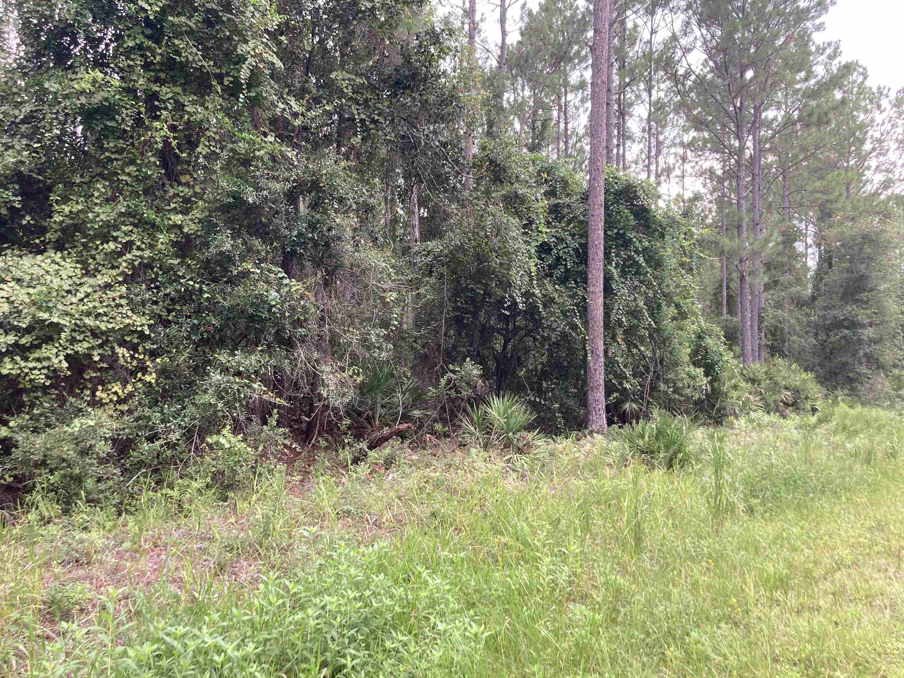 Image 3 of 4 For 159 Lakeway Dr