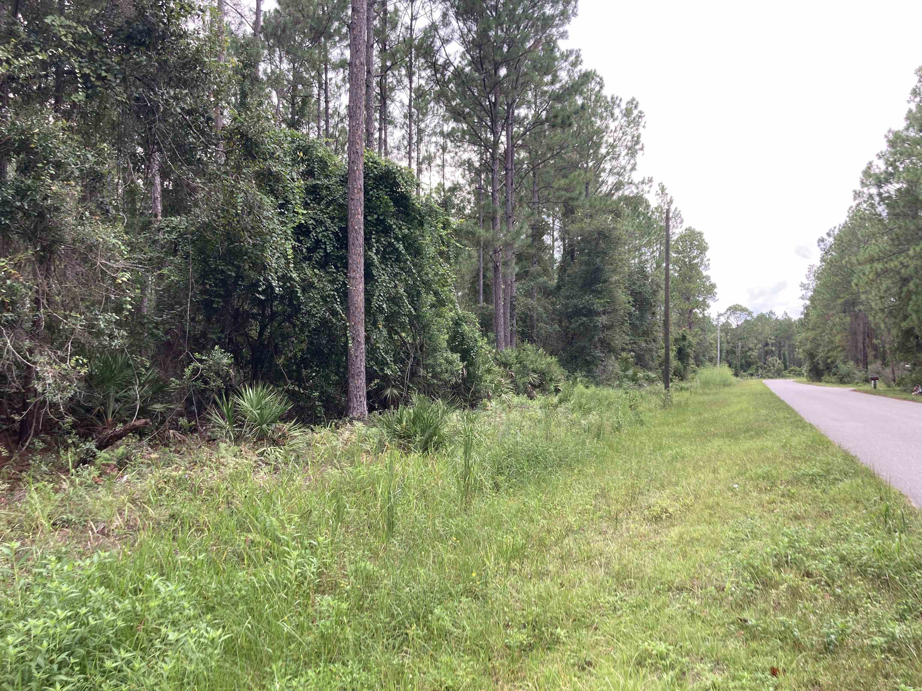 Image 4 of 4 For 159 Lakeway Dr