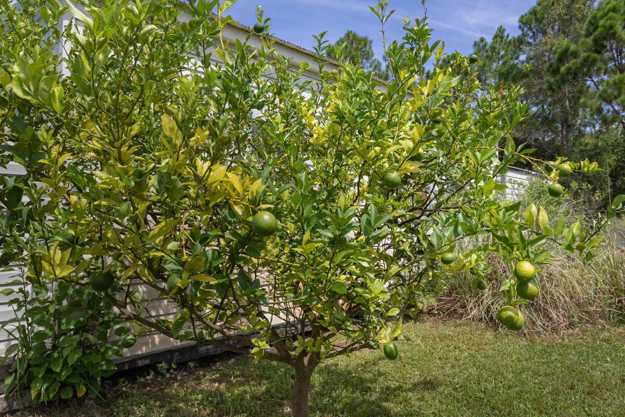 Image 55 of 71 For 2760 Screech Owl Ave N