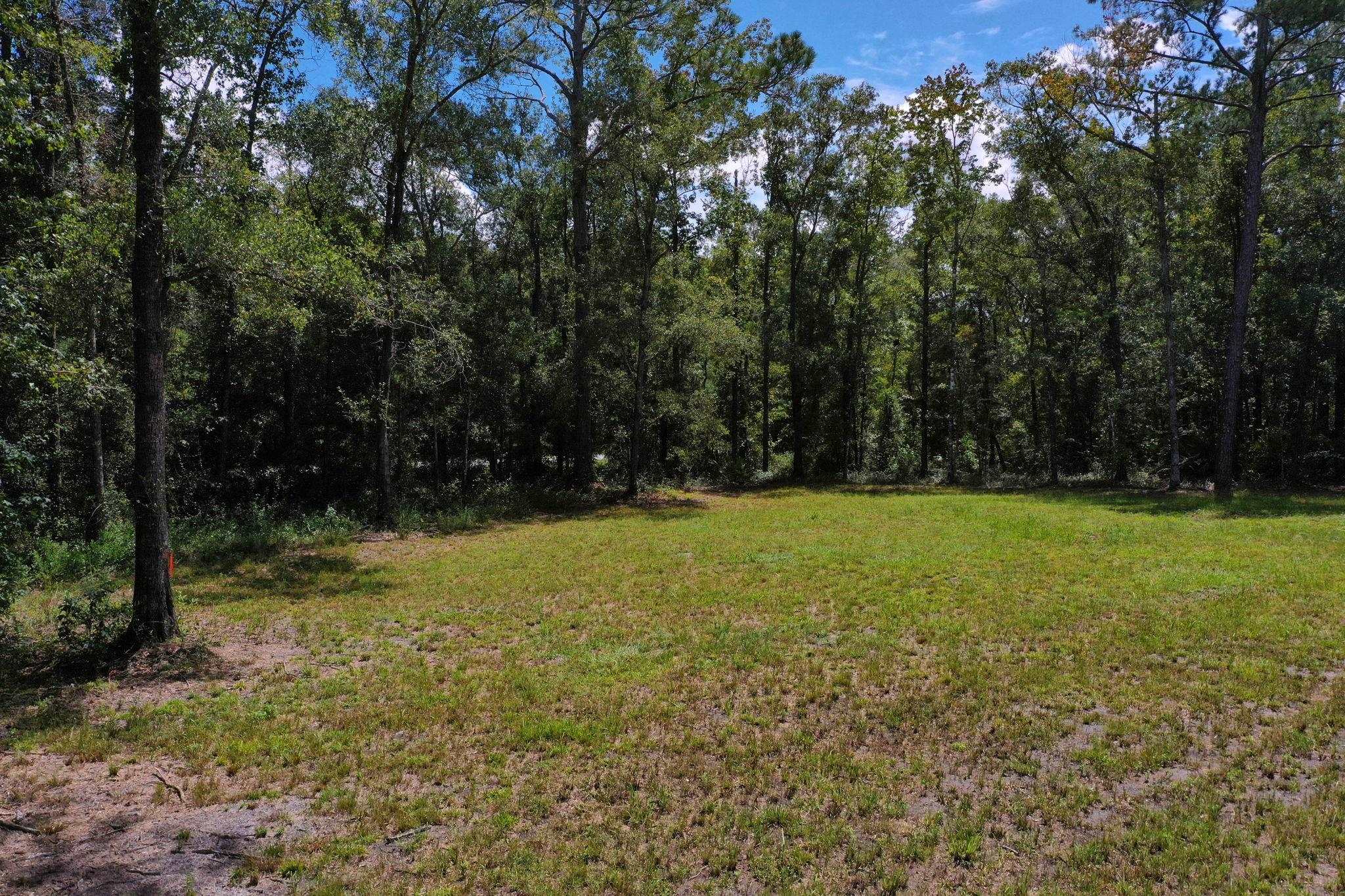 Image 20 of 25 For 4815 Olaf Street