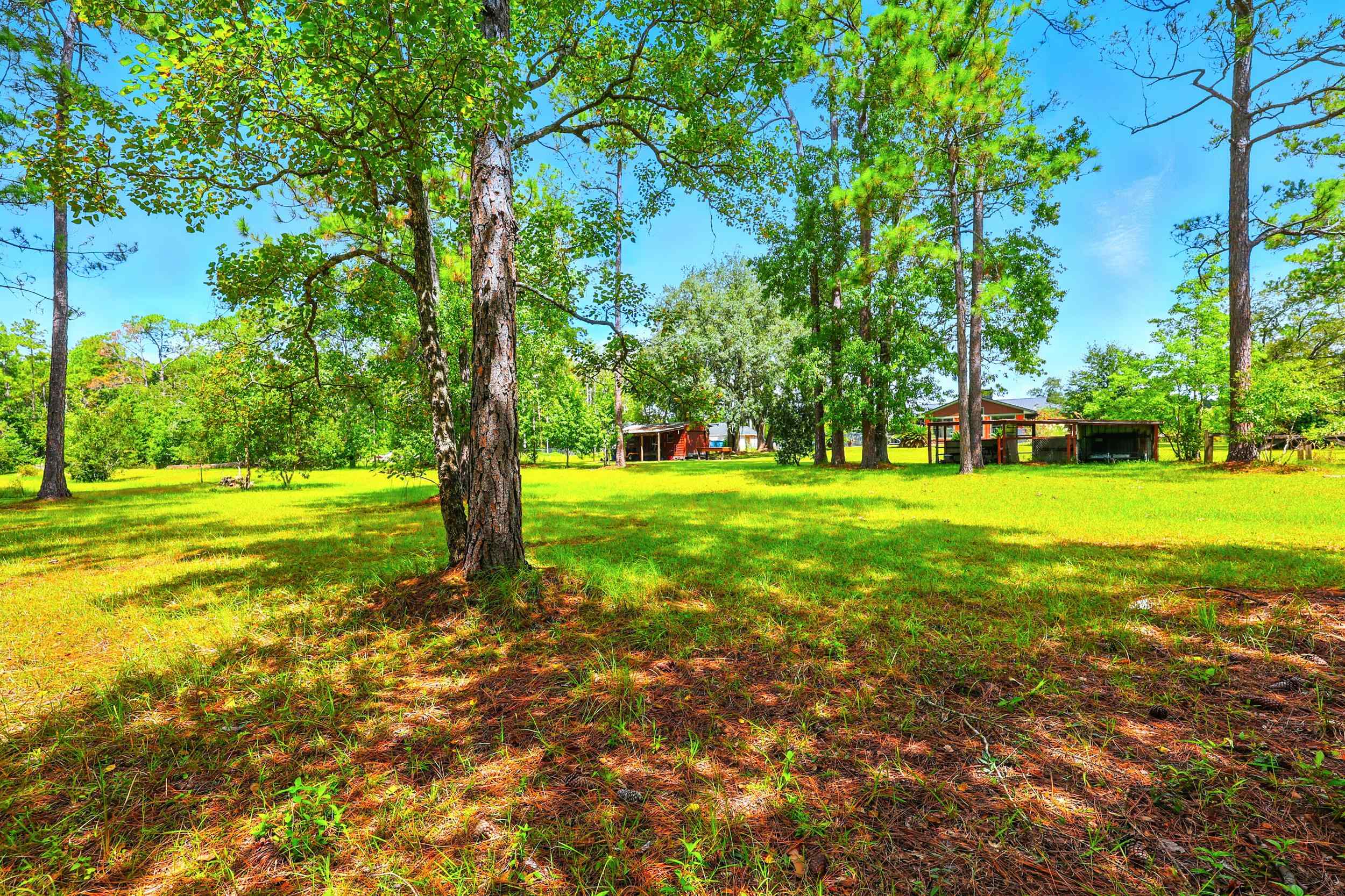 Image 37 of 58 For 4485 State Road 16