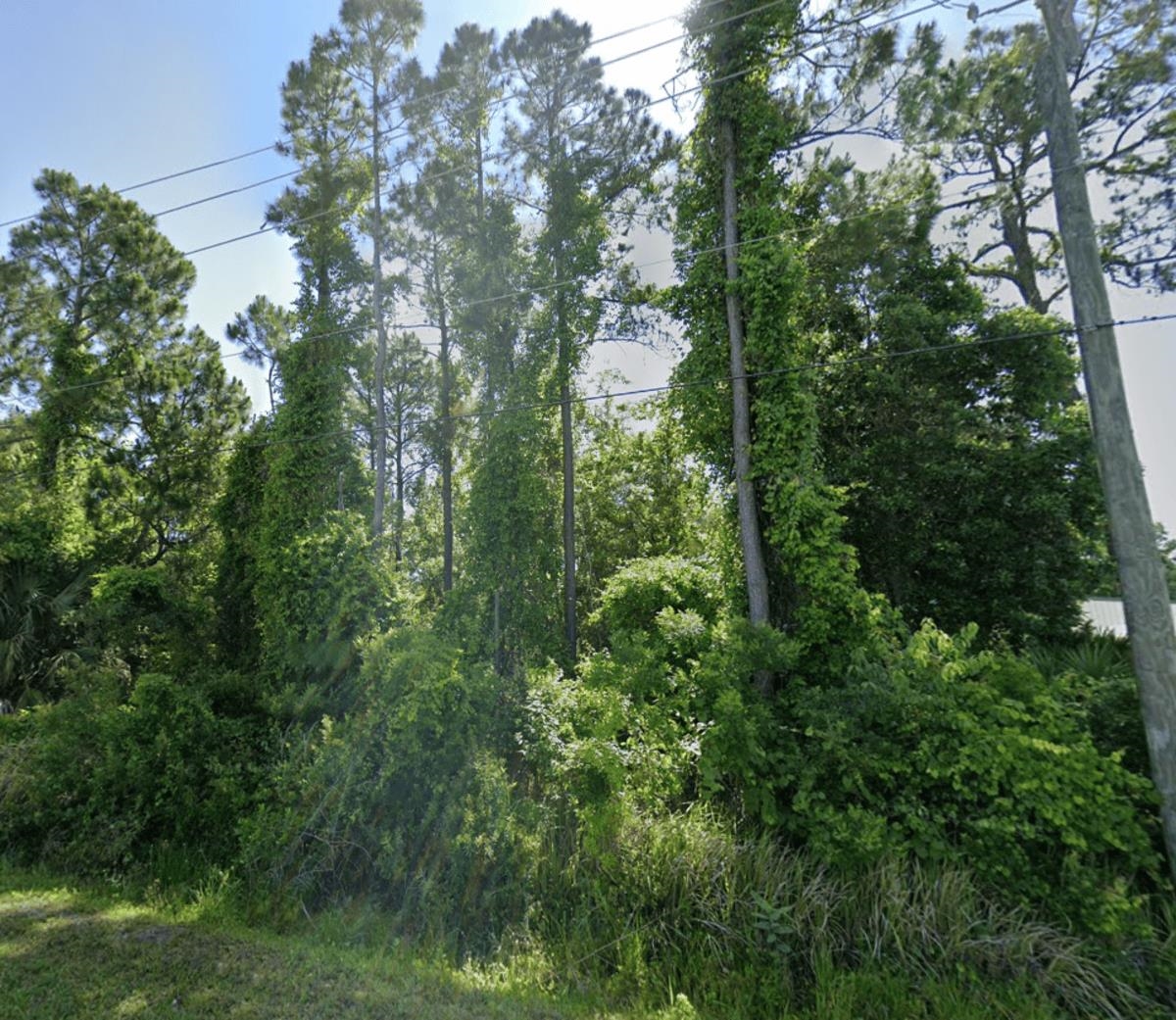 Image 3 of 4 For 0 Dobbs Rd  