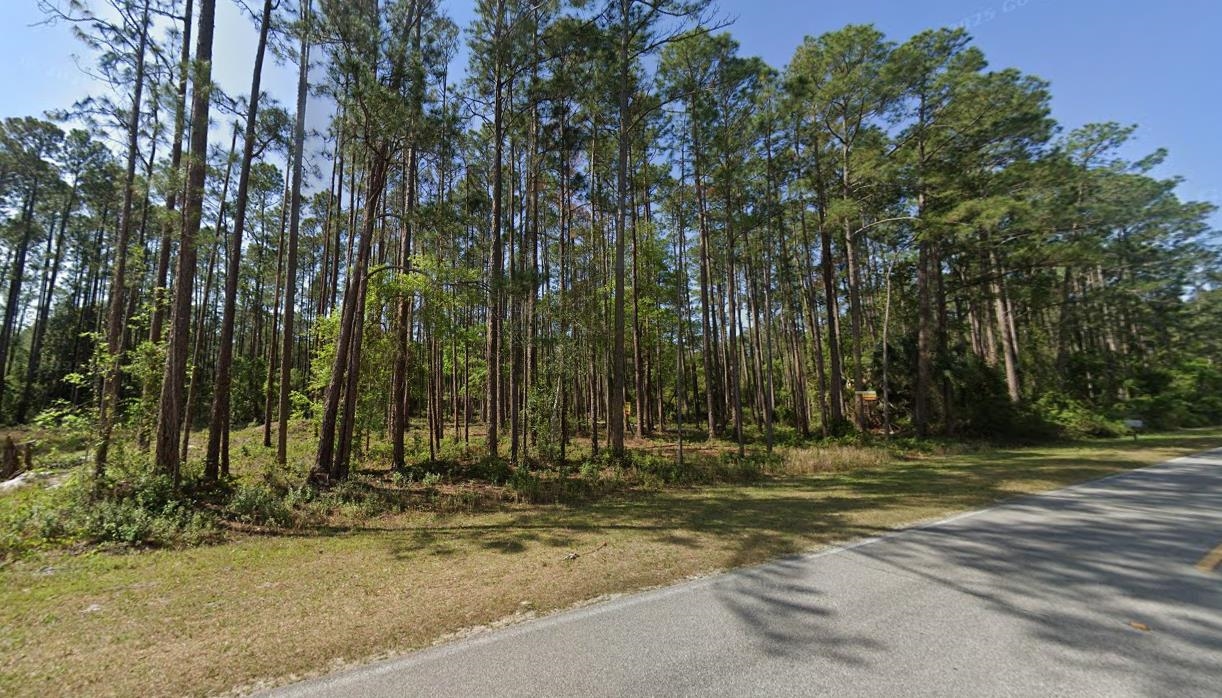 Details for 243 & 245 Georgetown Denver Rd, Georgetown, FL 32139