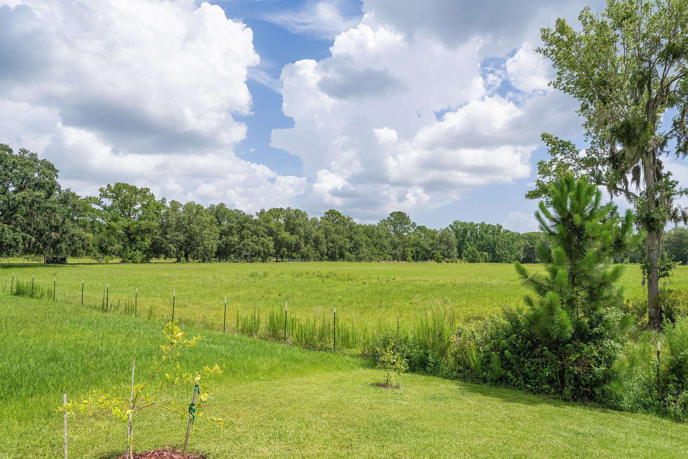 Image 35 of 77 For 2730 Oak Stream Dr