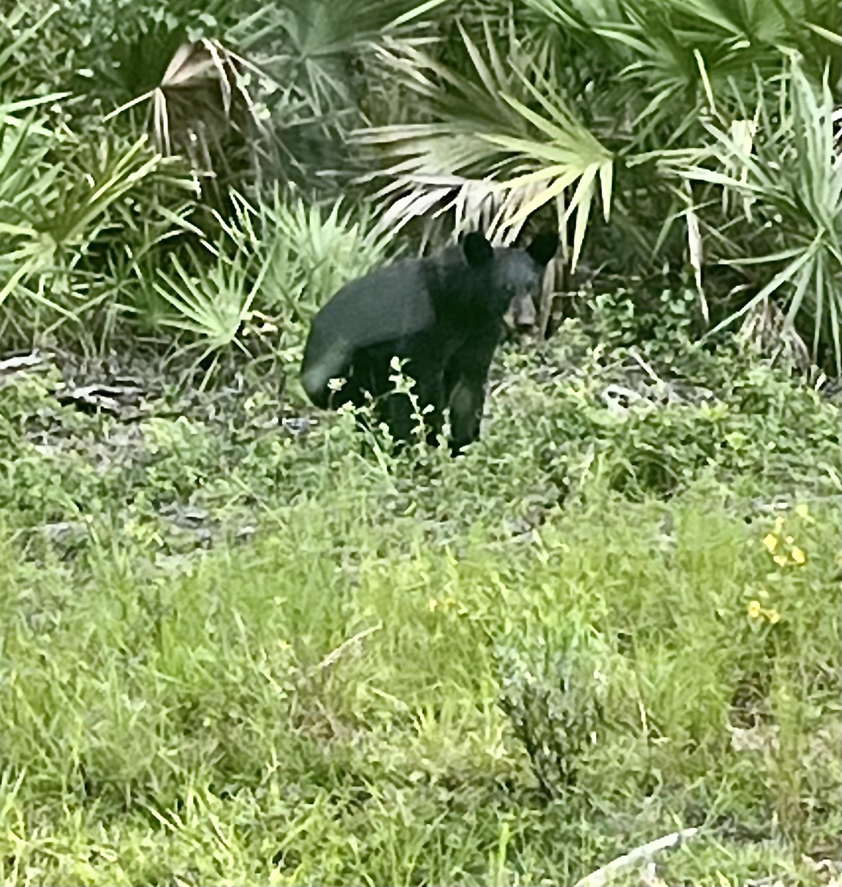 Image 47 of 48 For 23670 154th Place Ne