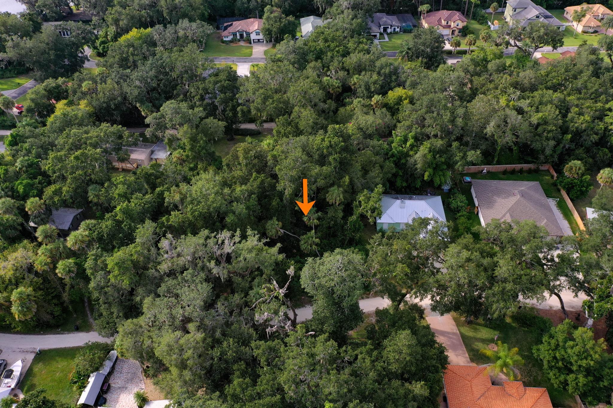 Image 3 of 75 For 15 Debra Dr