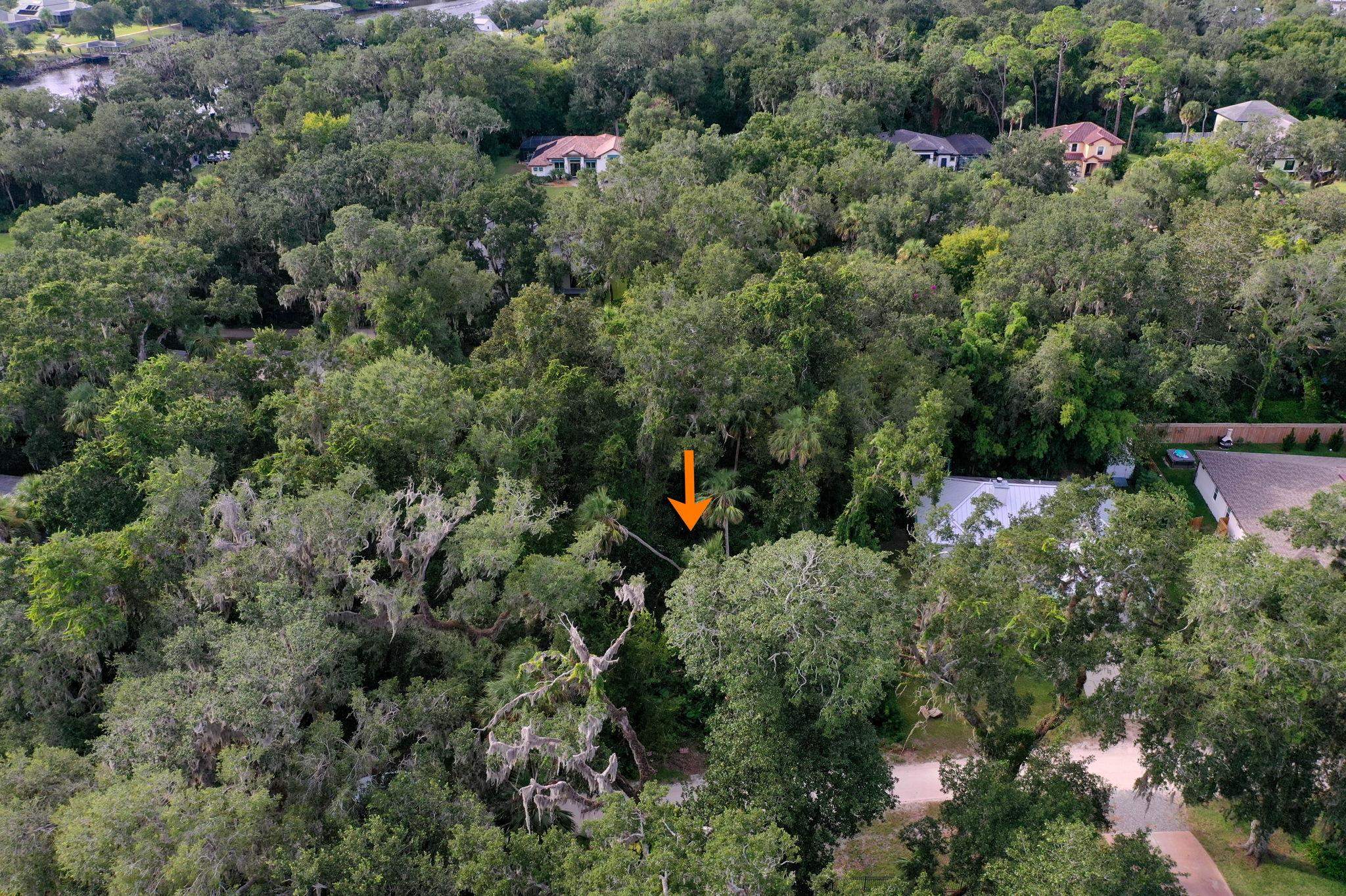 Image 33 of 75 For 15 Debra Dr