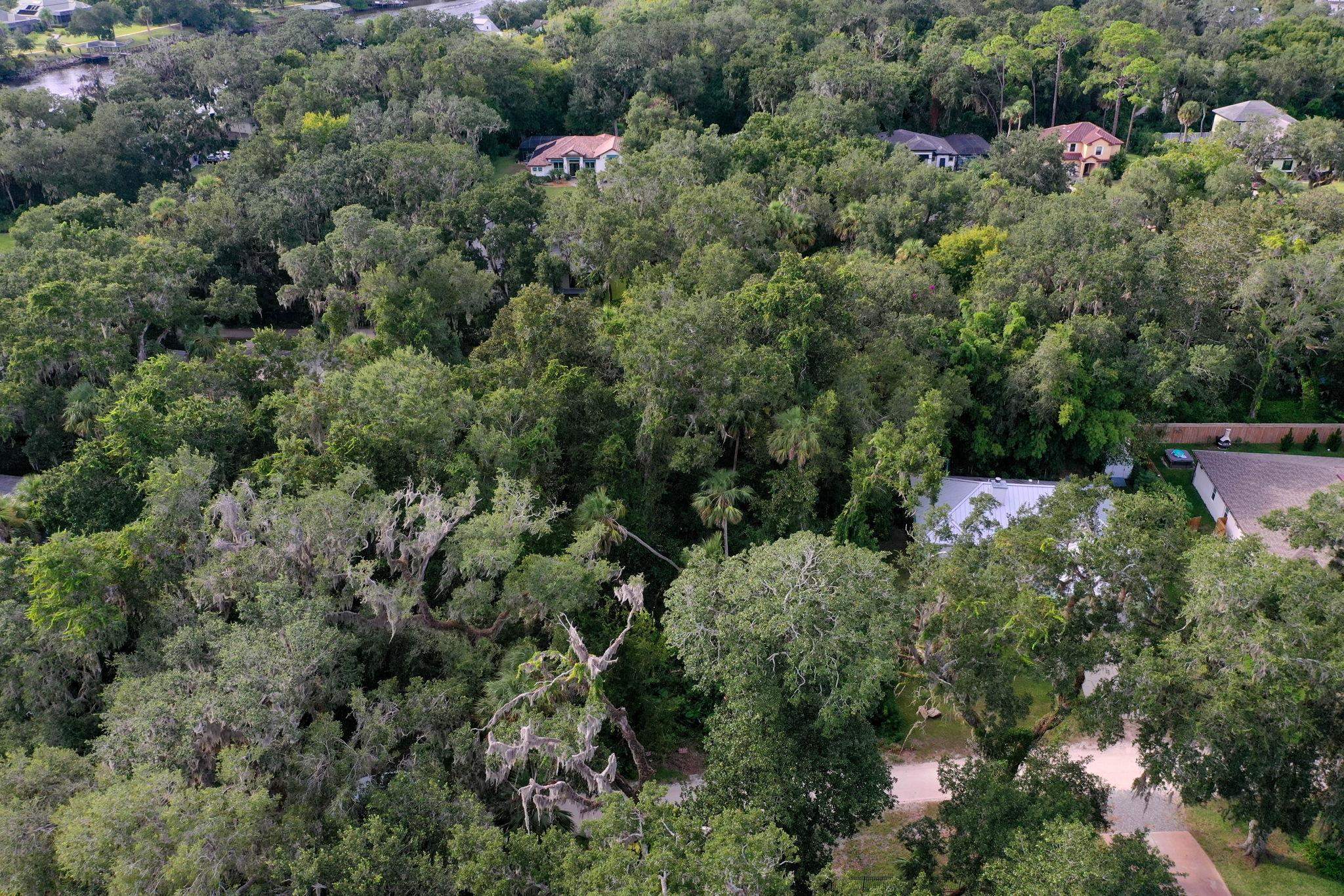 Image 34 of 75 For 15 Debra Dr