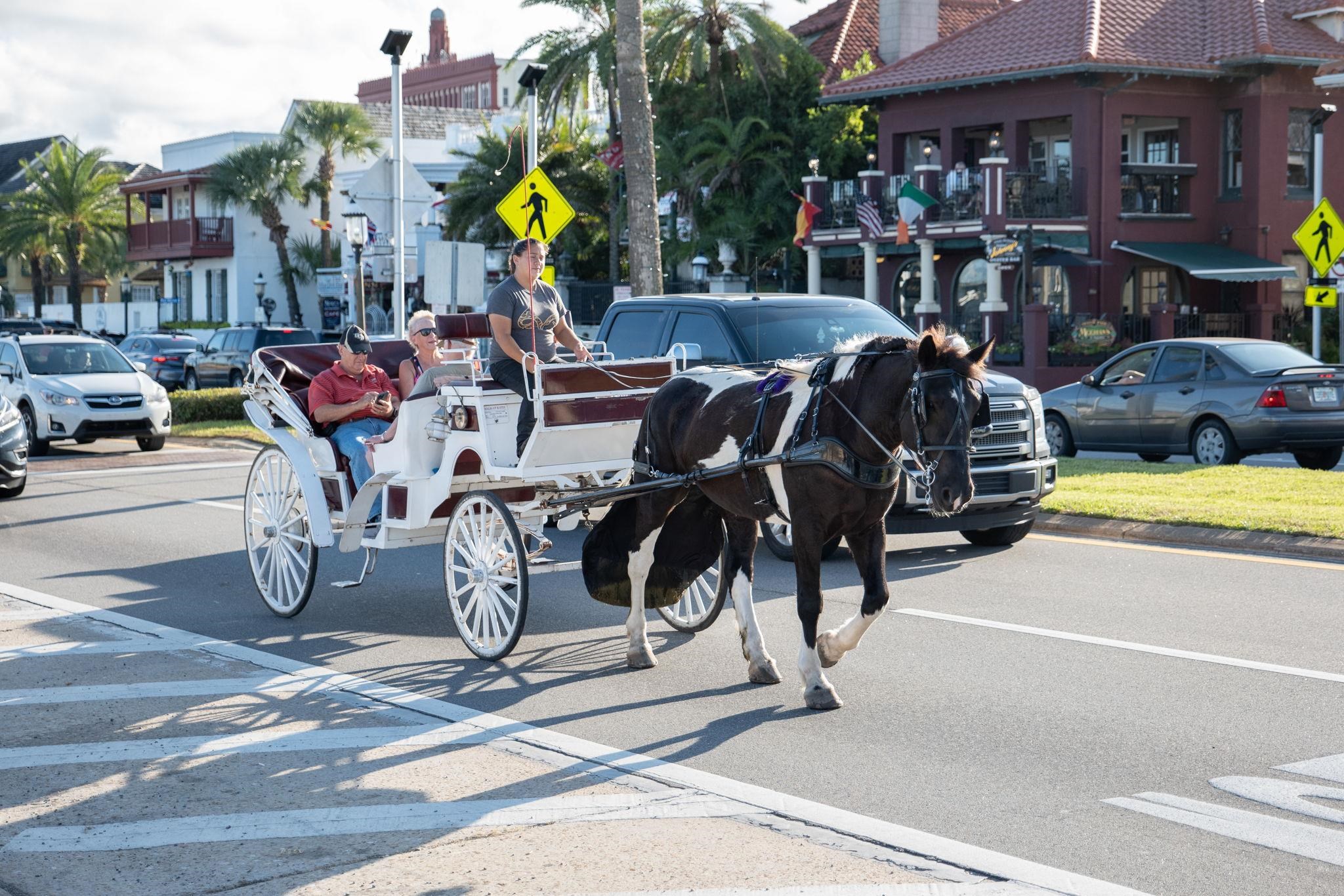 Image 53 of 63 For 164 Sunset Cir N