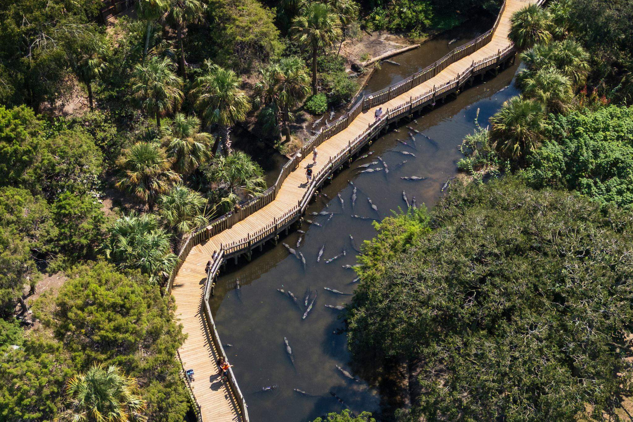 Image 61 of 63 For 164 Sunset Cir N