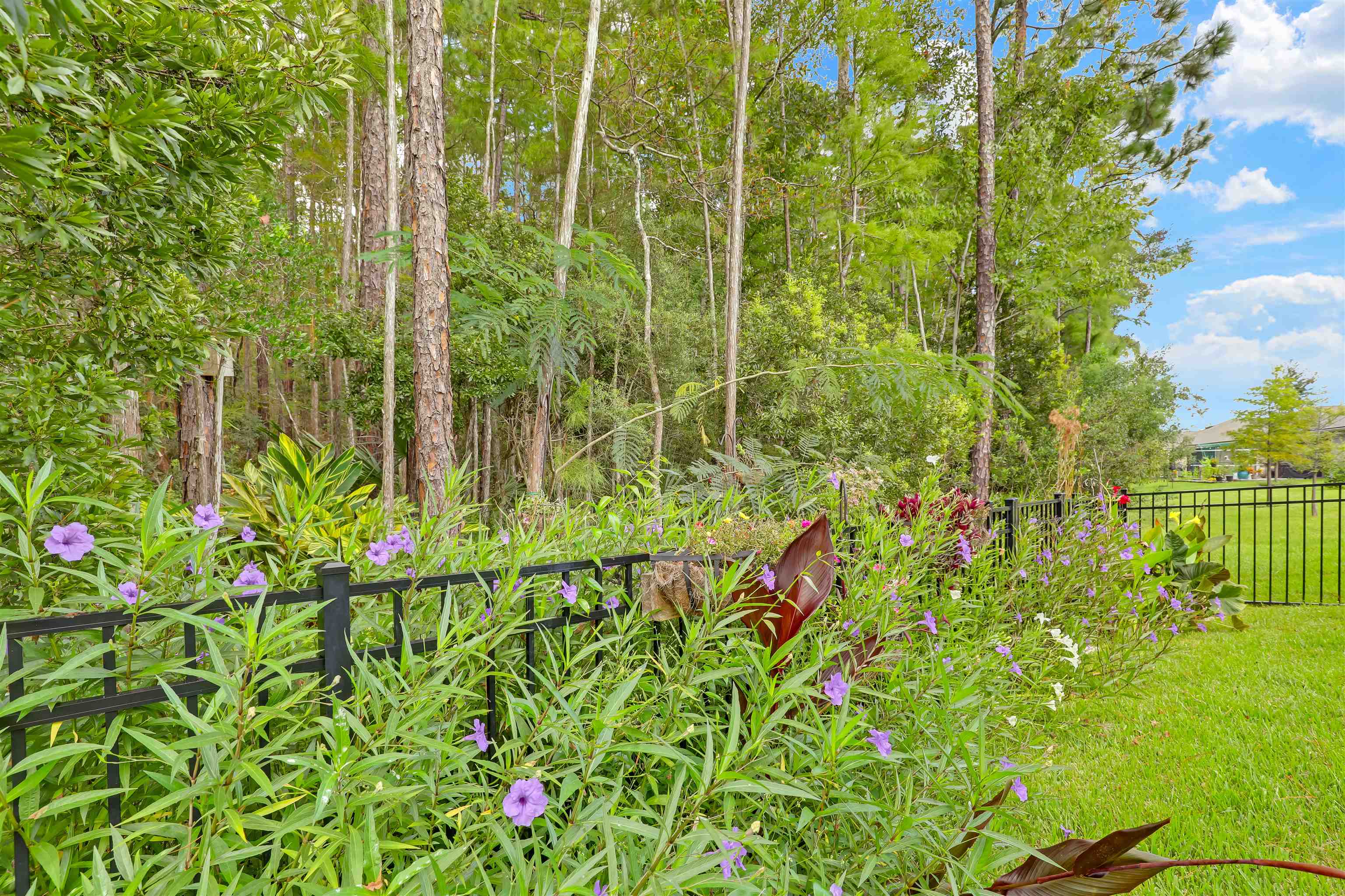 Image 50 of 60 For 341 Spoonbill Cir