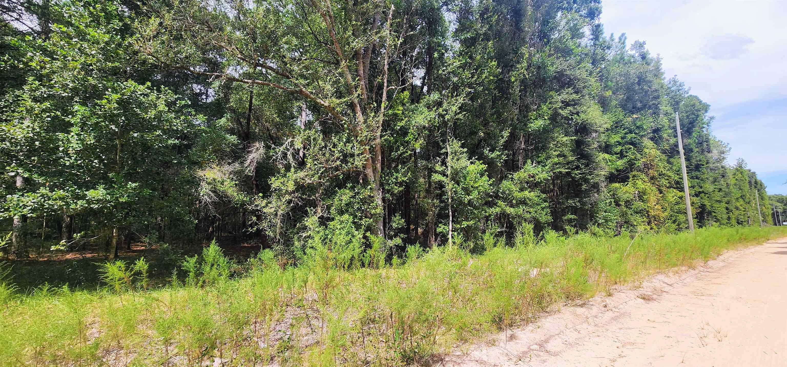 Image 2 of 2 For  Donys Ave  